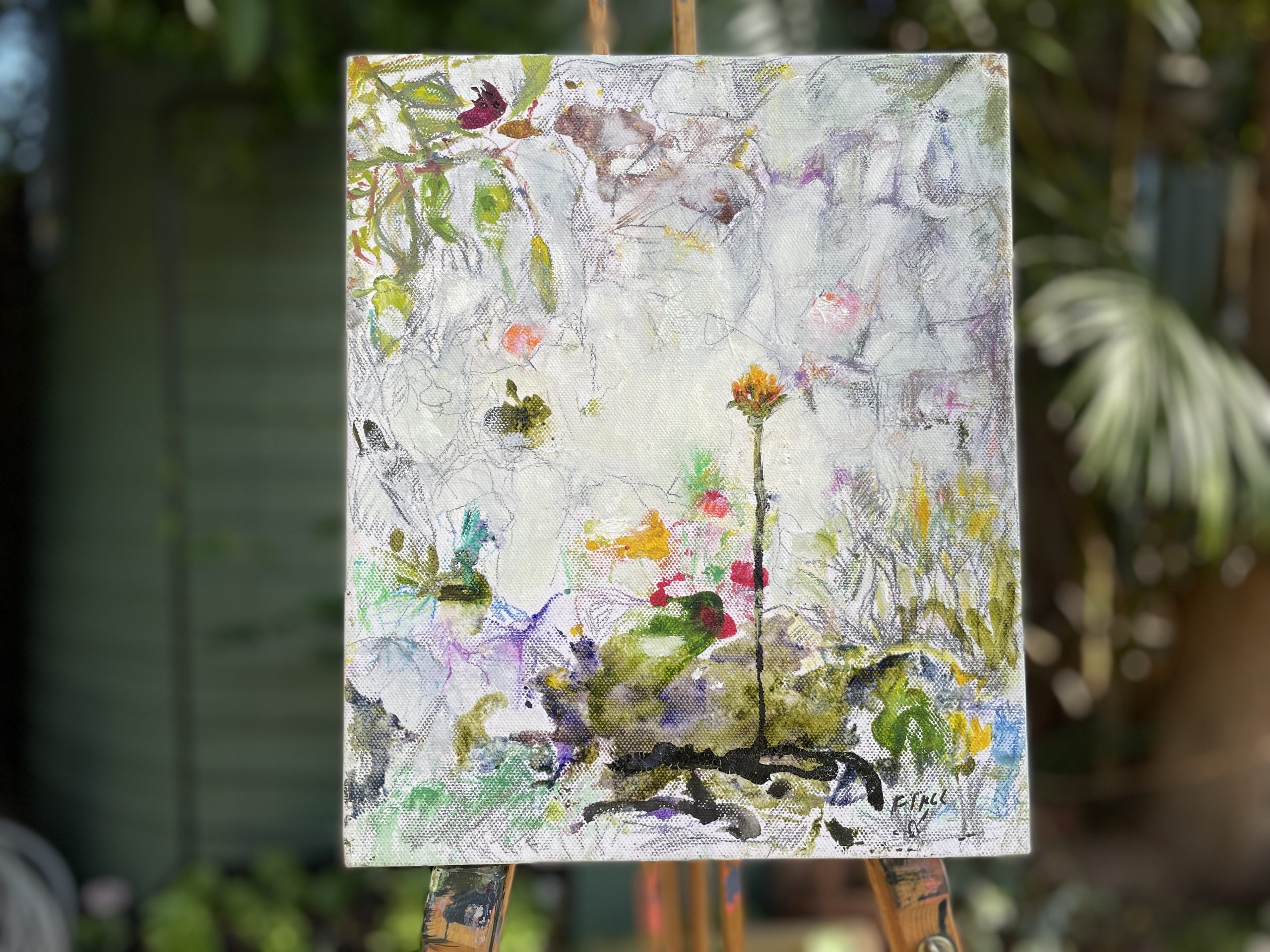 Gymea Lily Studio View