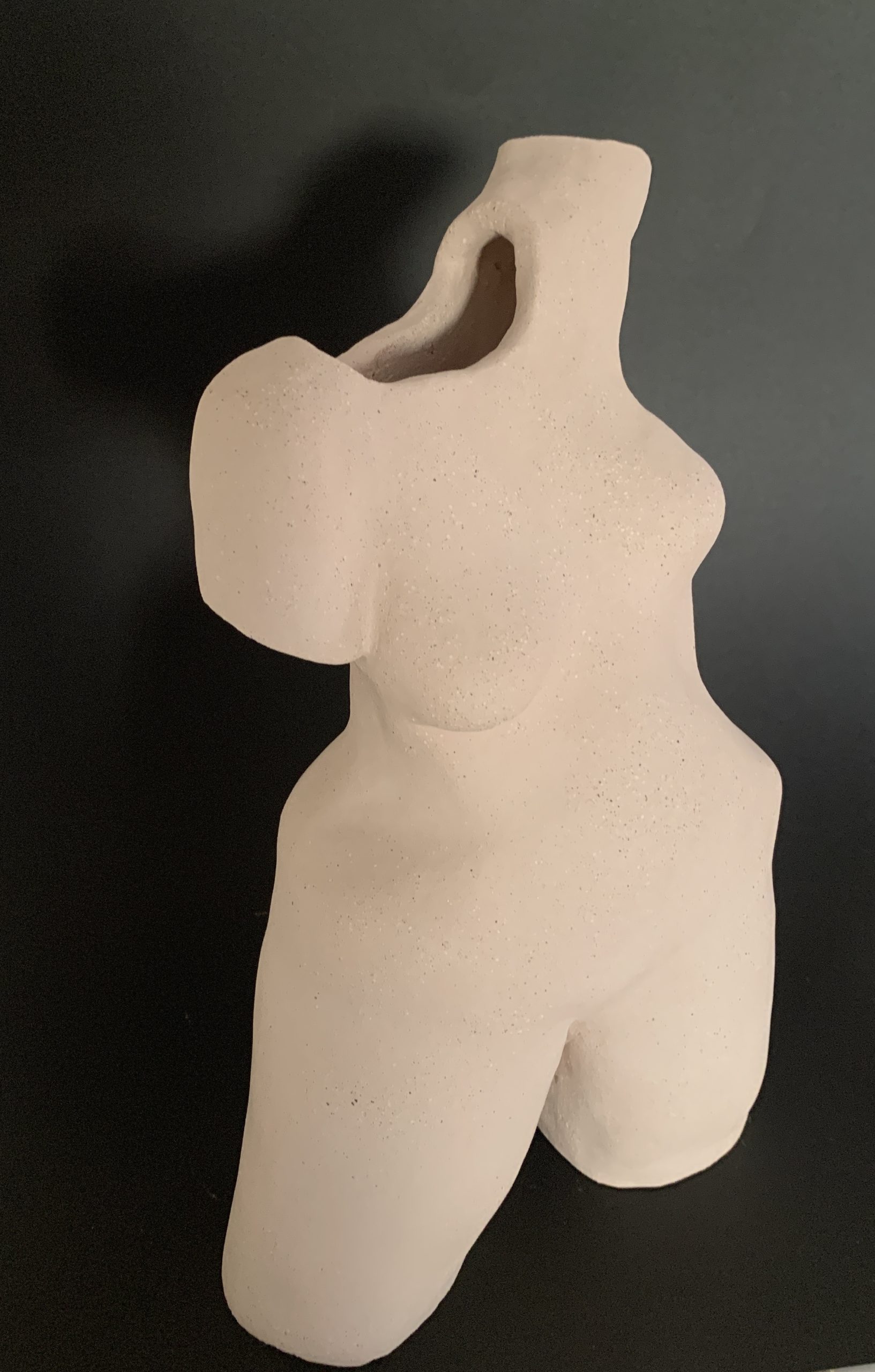 Kim Rees Torso On Black 2