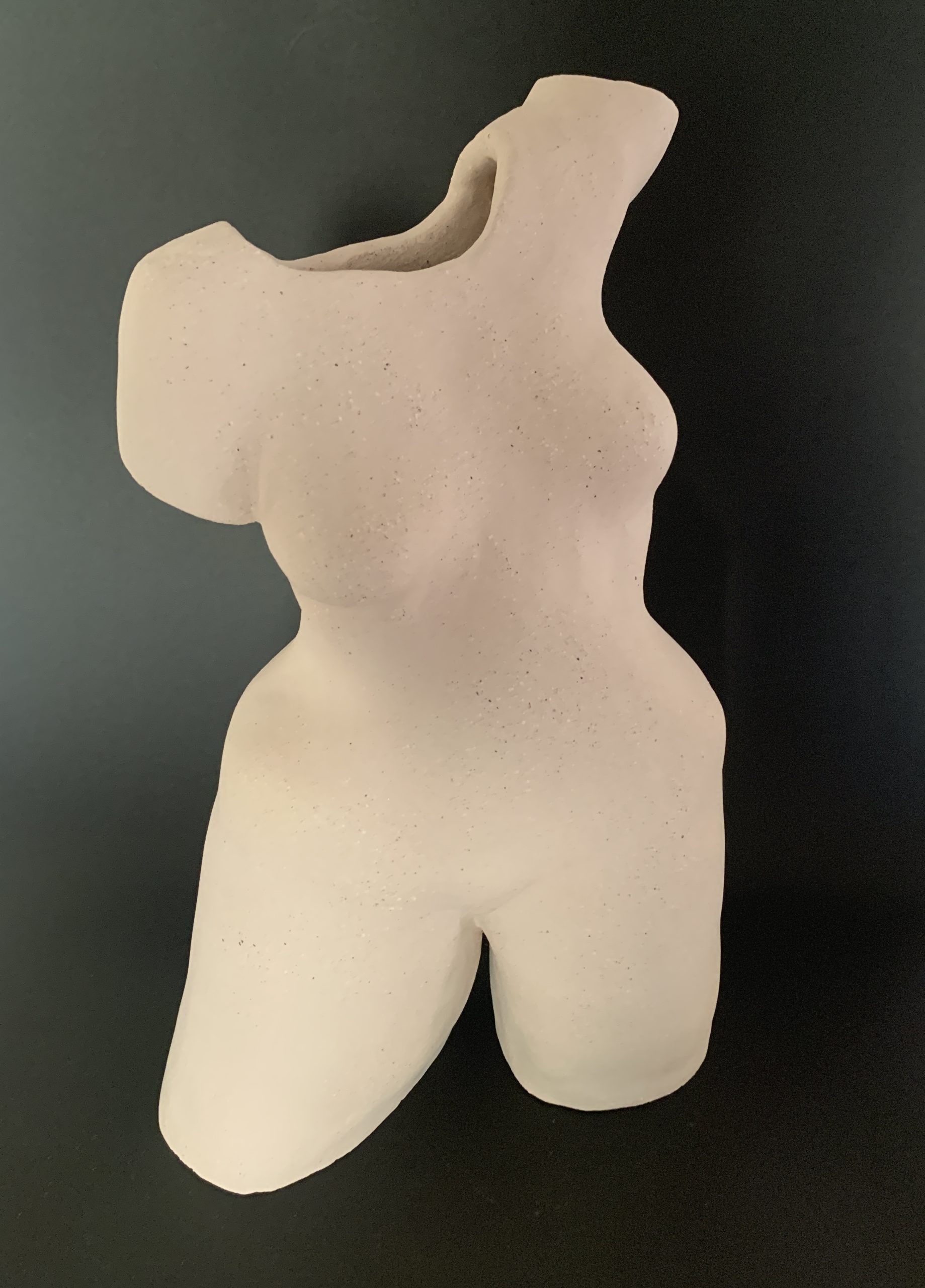 Kim Rees Torso On Black 1