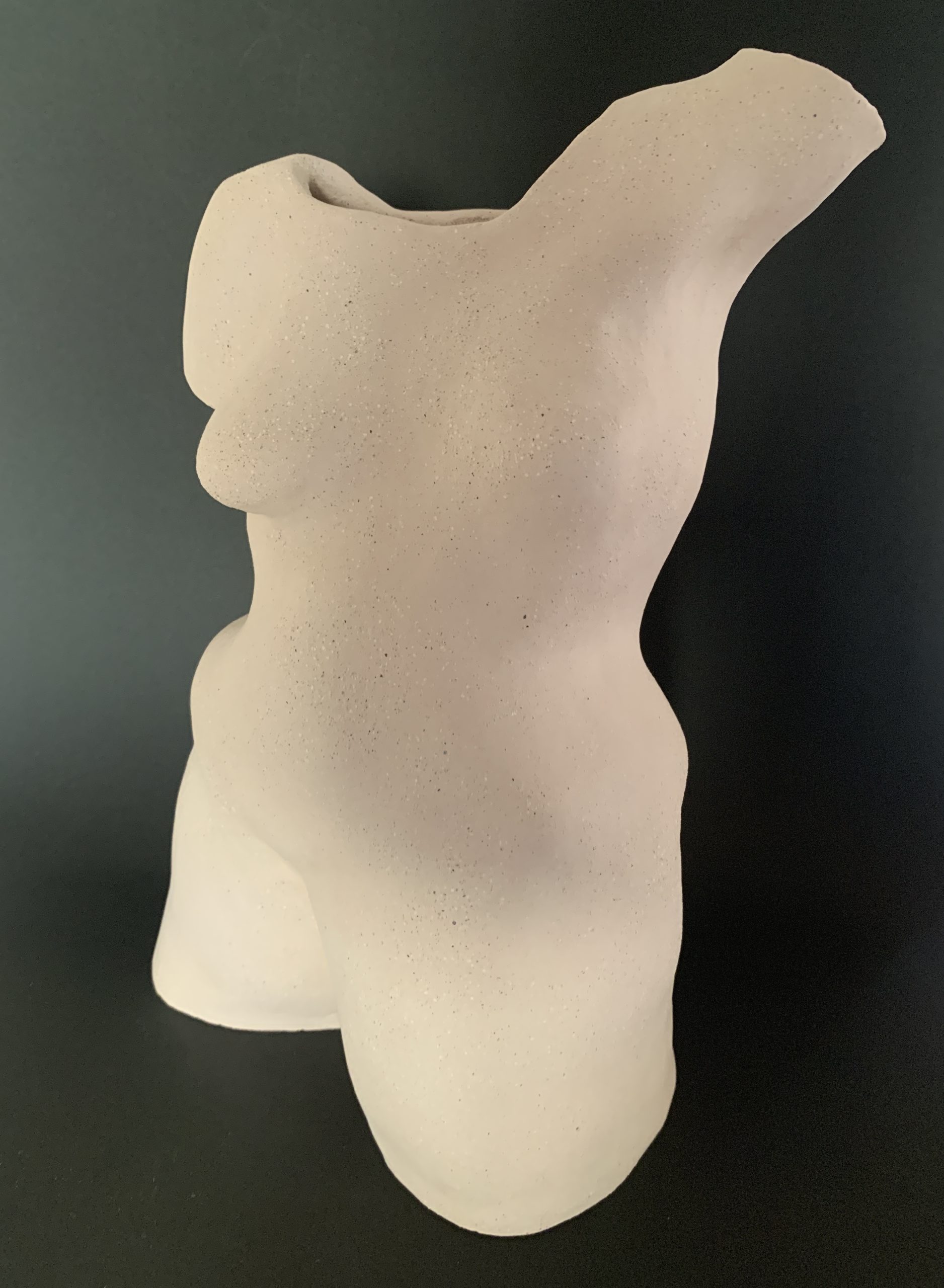 Kim Rees Torso On Black