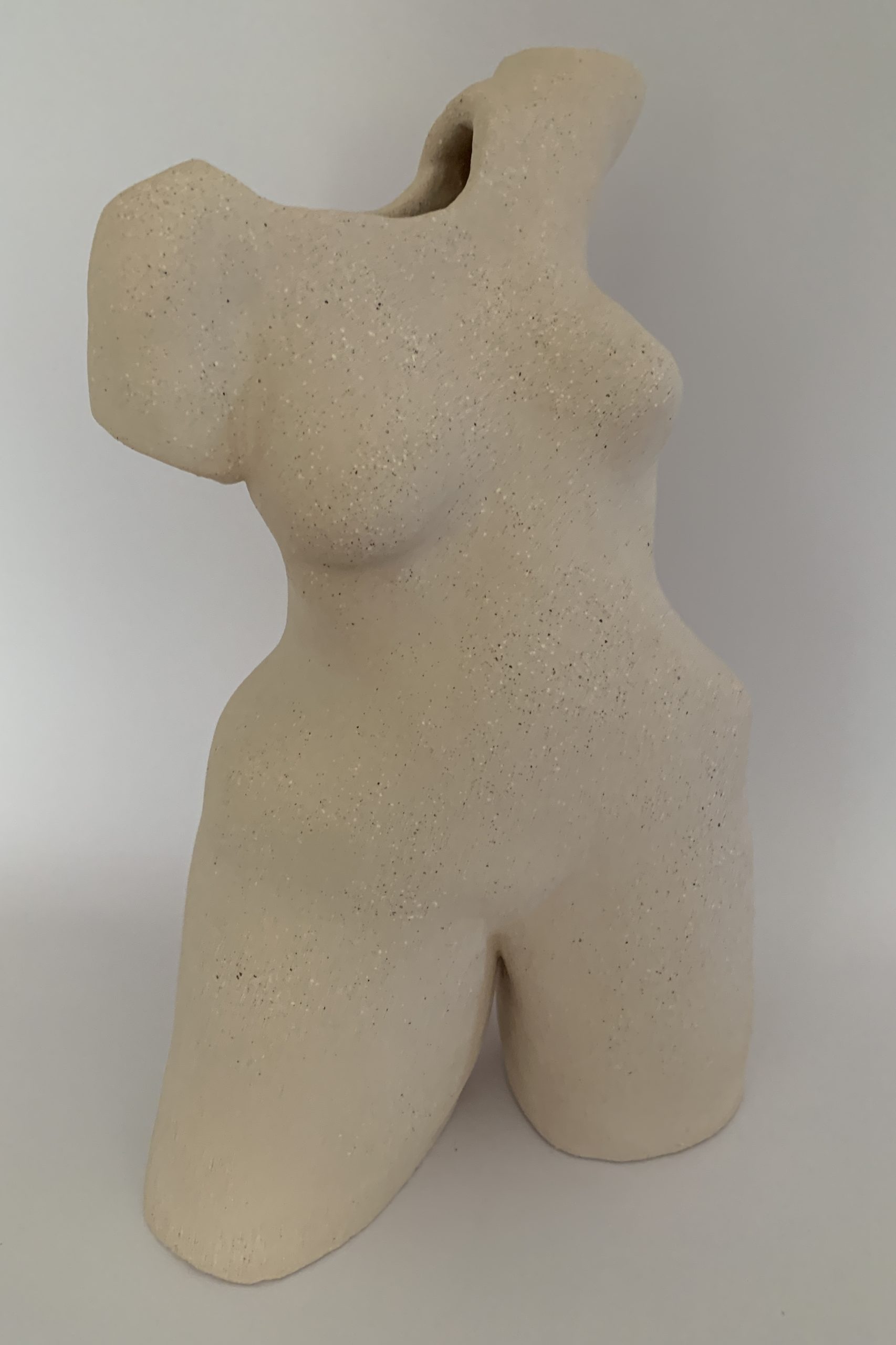 Kim Rees Torso On White