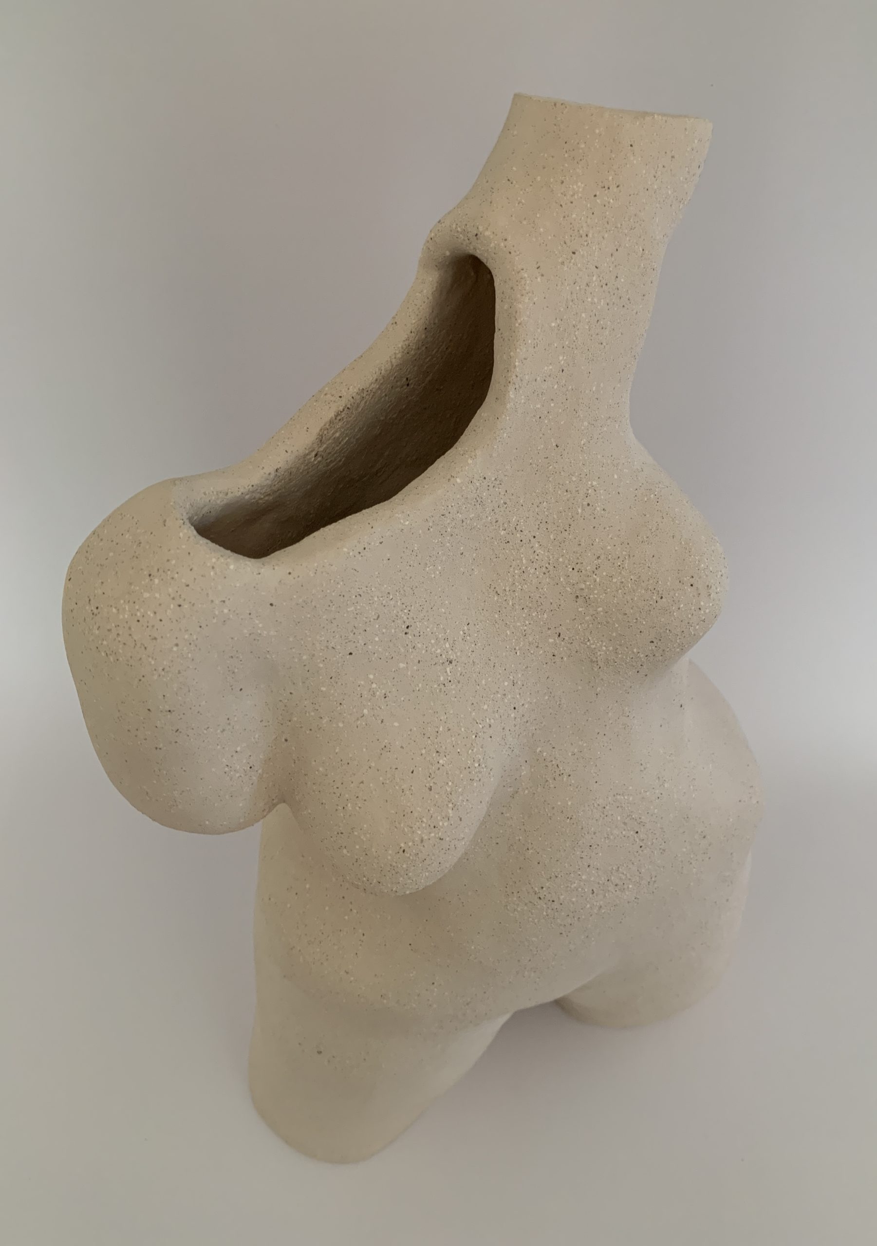 Kim Rees Torso On White 1