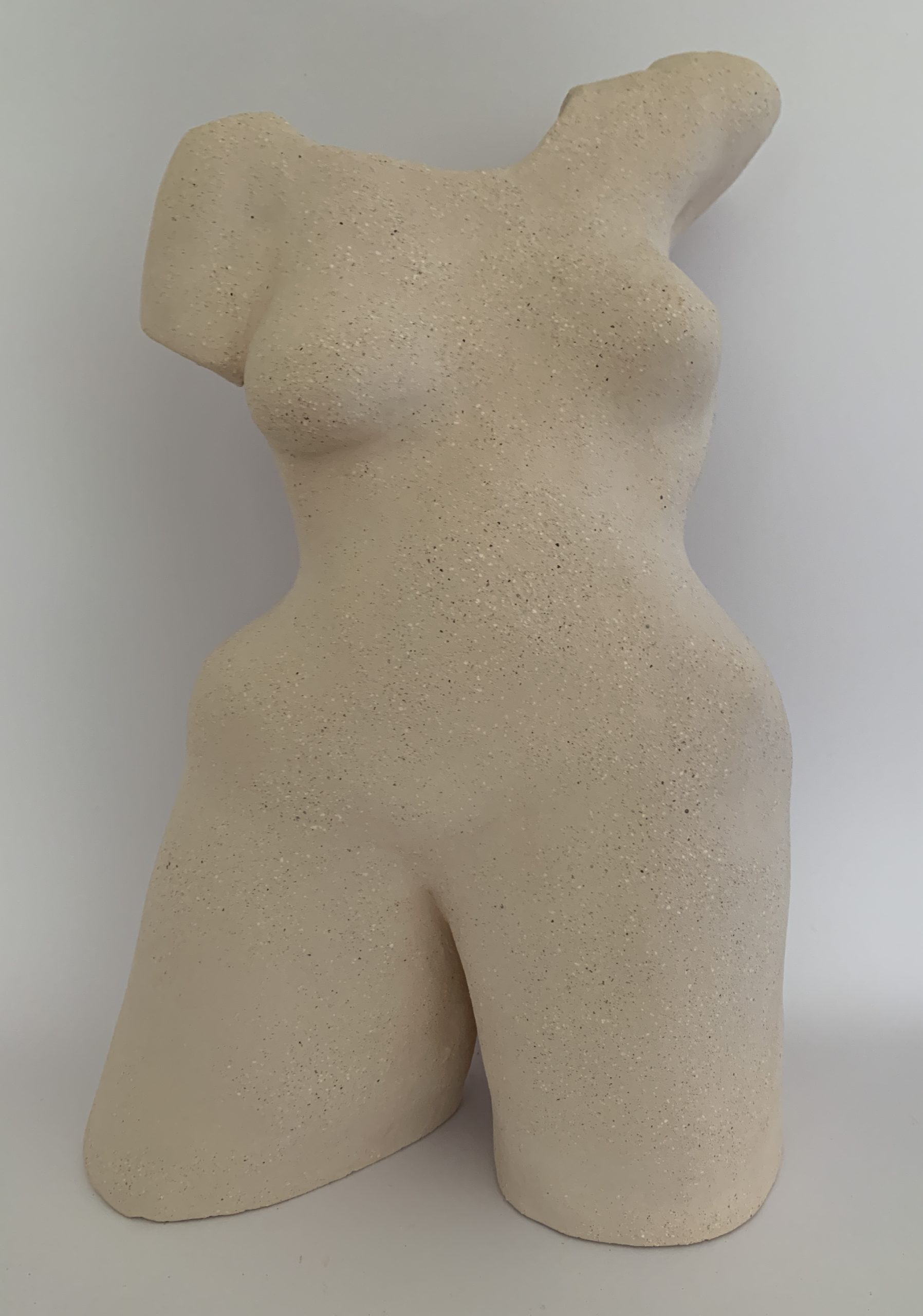 Kim Rees Torso On White 2