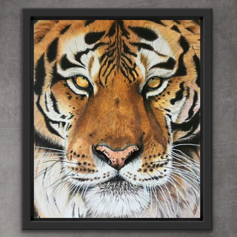 The Big Cat- Siberian Tiger Portrait