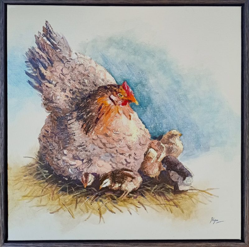 Mother Hen and Chickens Australian Native Bird 206