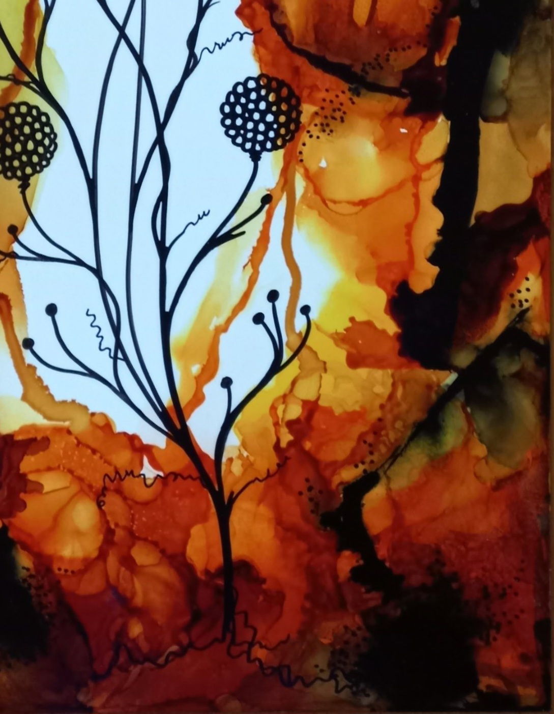 Tapscanner 04 20 2023 19꞉56 20230617 092631 842 24