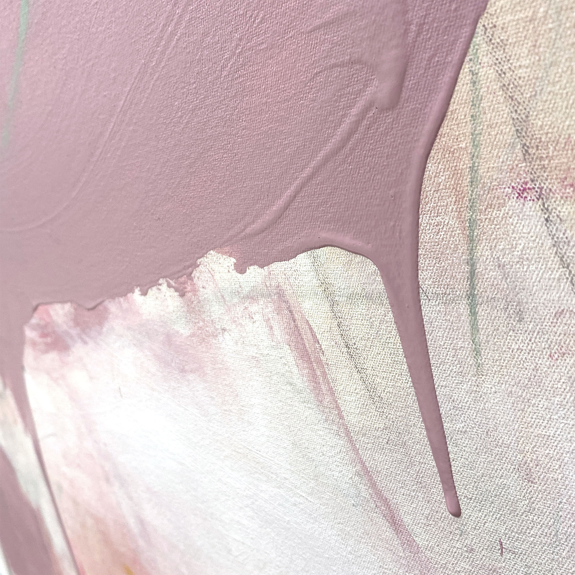 Breaking Light Cheryl Harrison A