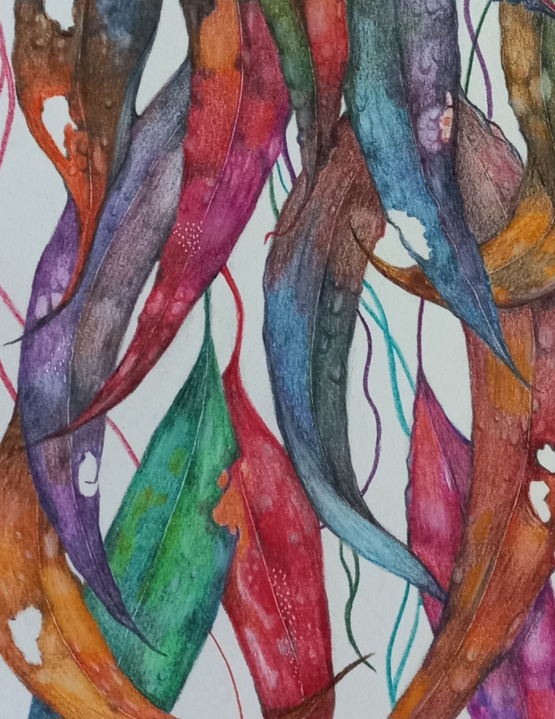 Tapscanner 06 18 2023 13꞉27 20230618 132759 005 32