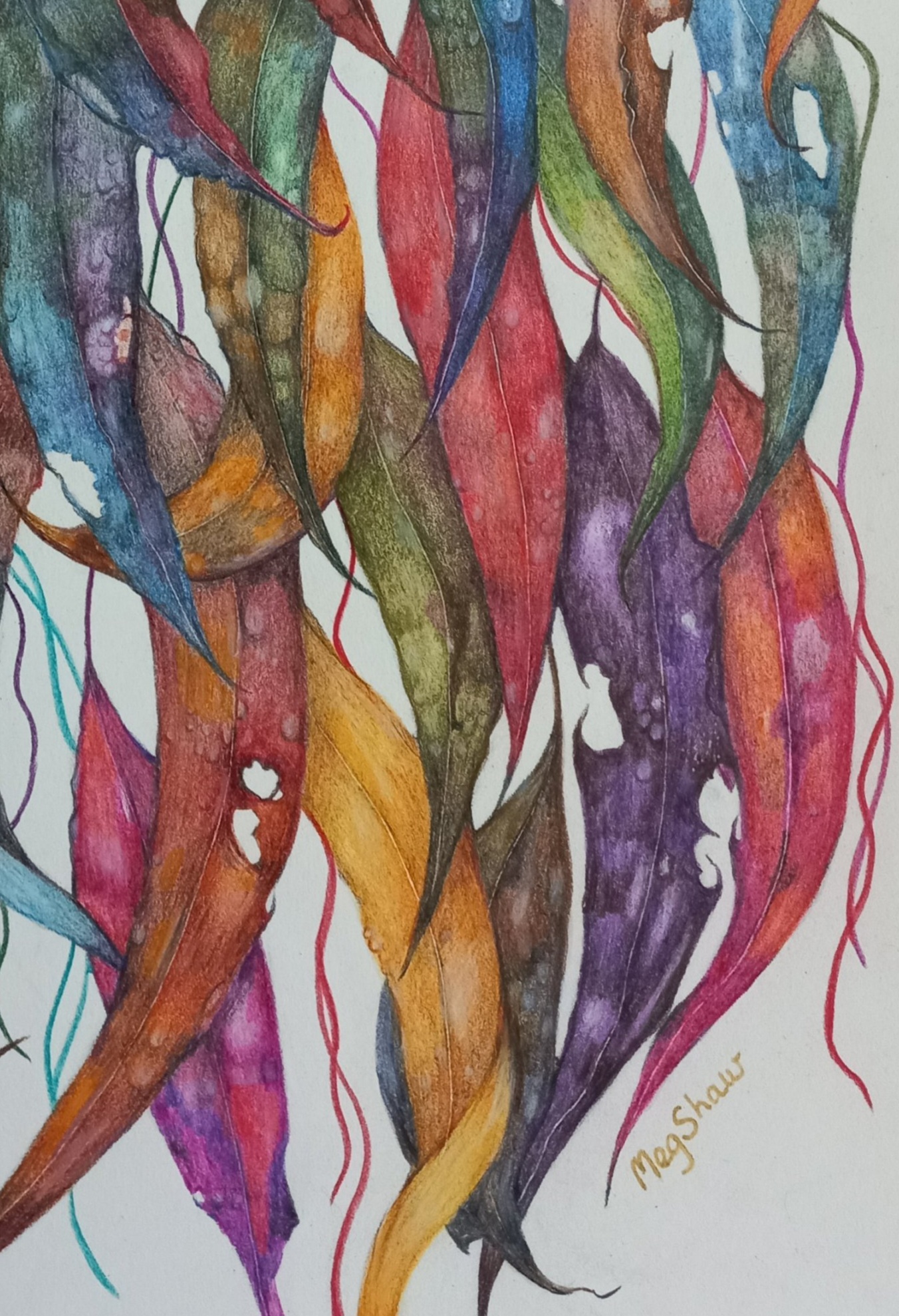 Tapscanner 06 18 2023 13꞉27 20230618 132756 397 76