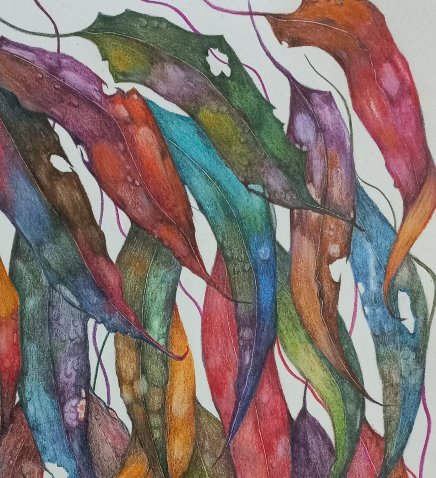 Tapscanner 06 18 2023 13꞉27 20230618 132753 266 4