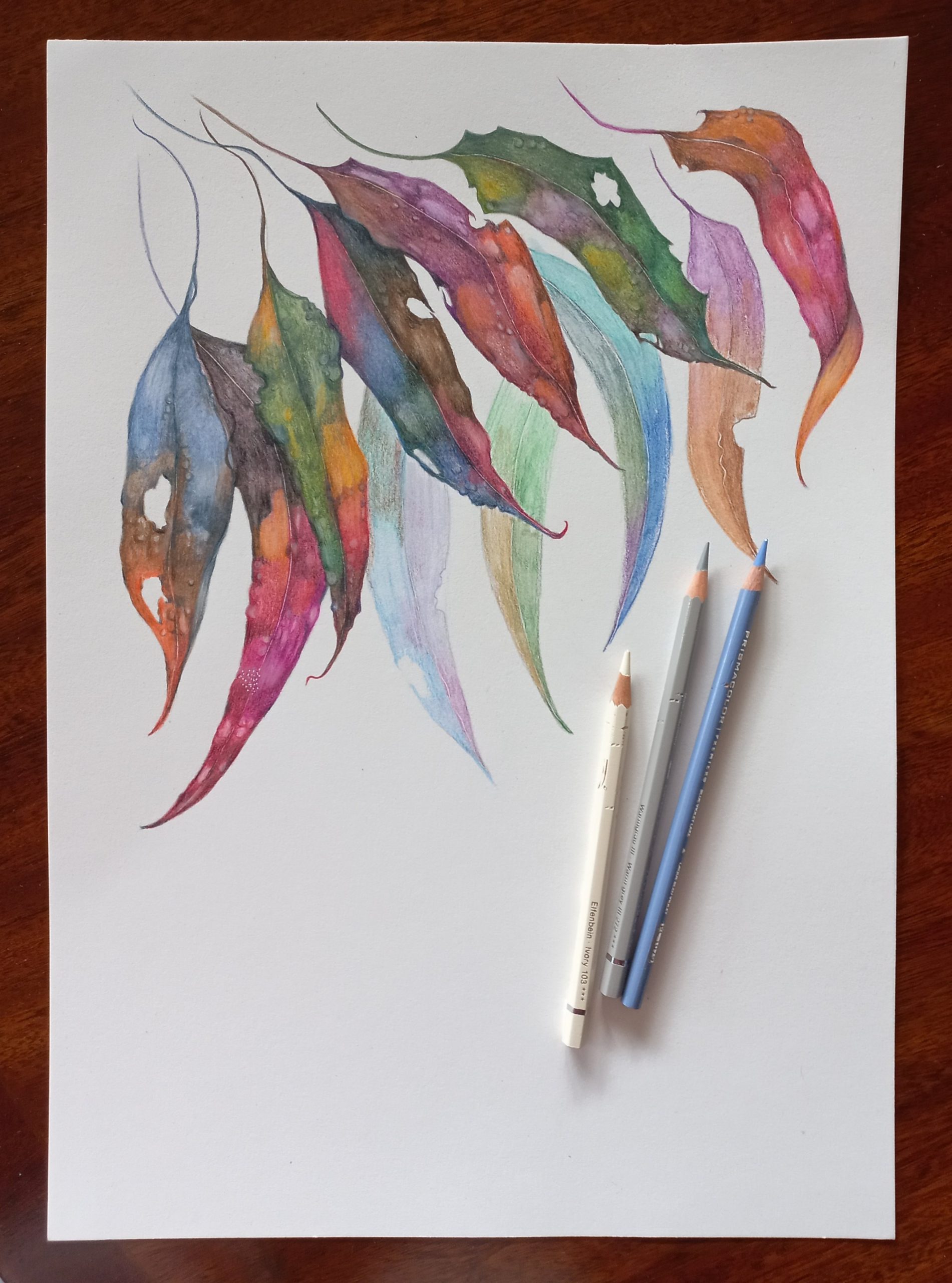 Tapscanner 06 14 2023 12꞉14 20230614 121513 873 76