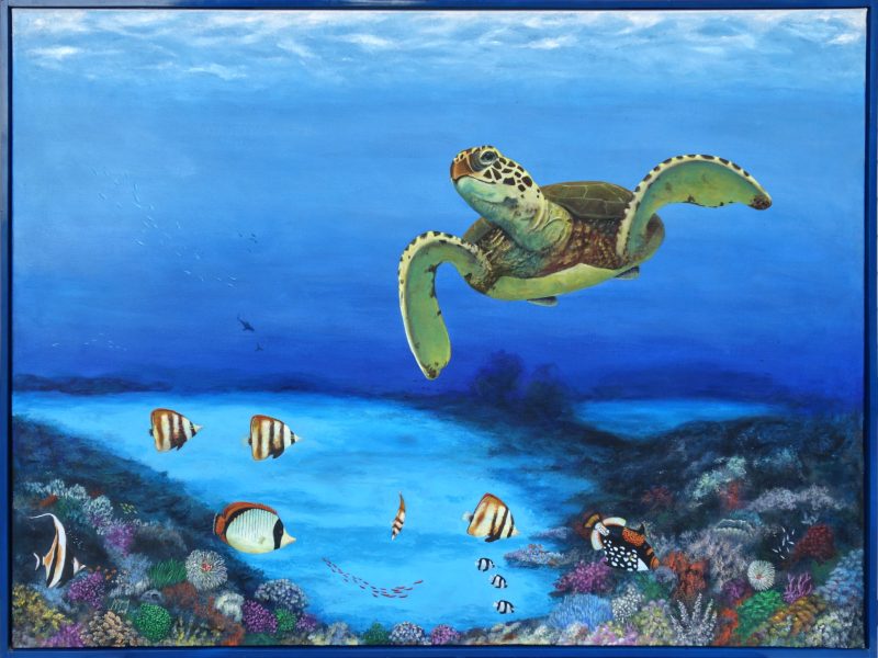 Greenback Sea Turtle