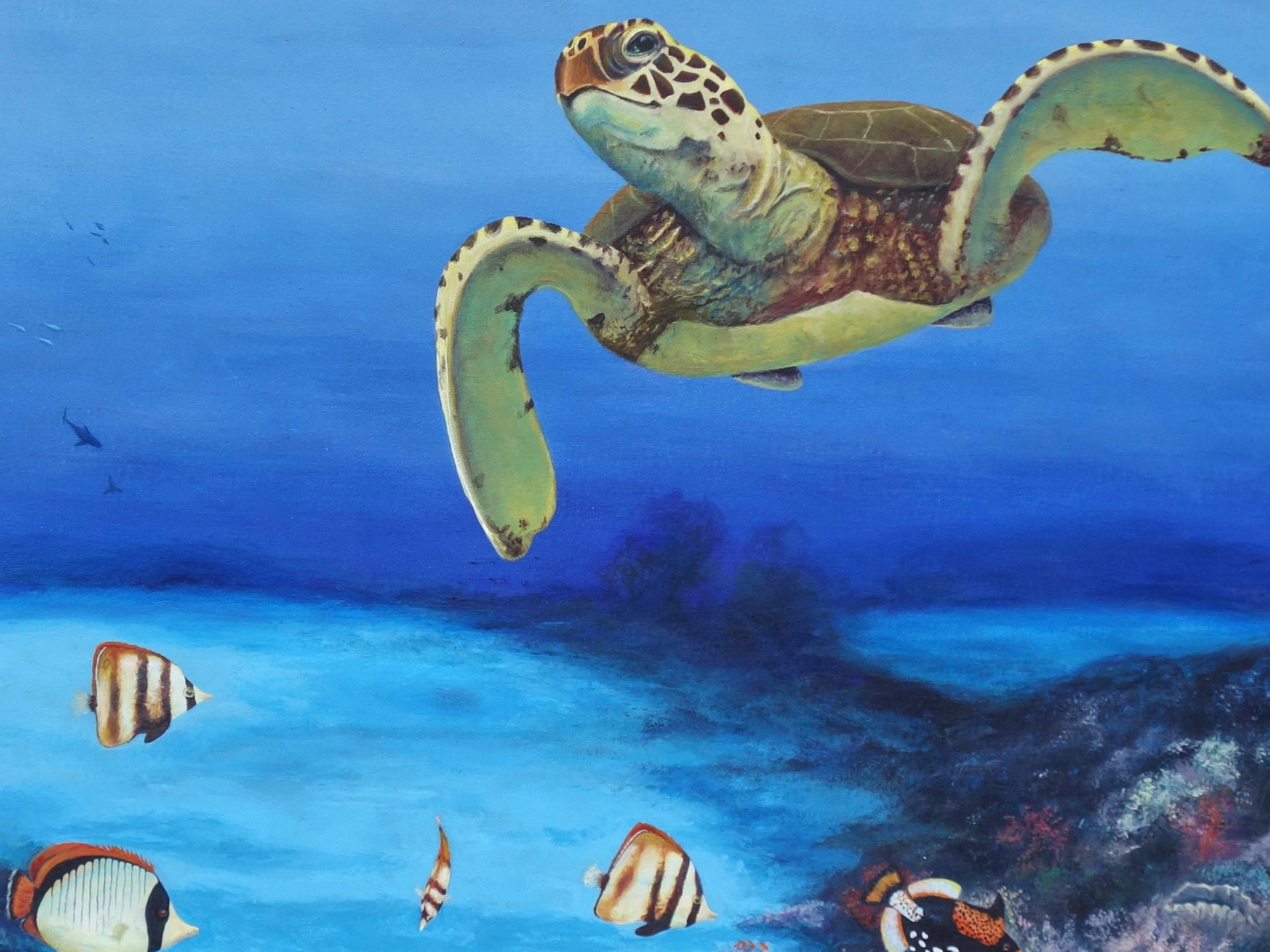 Ted Turtle Cu 1550px