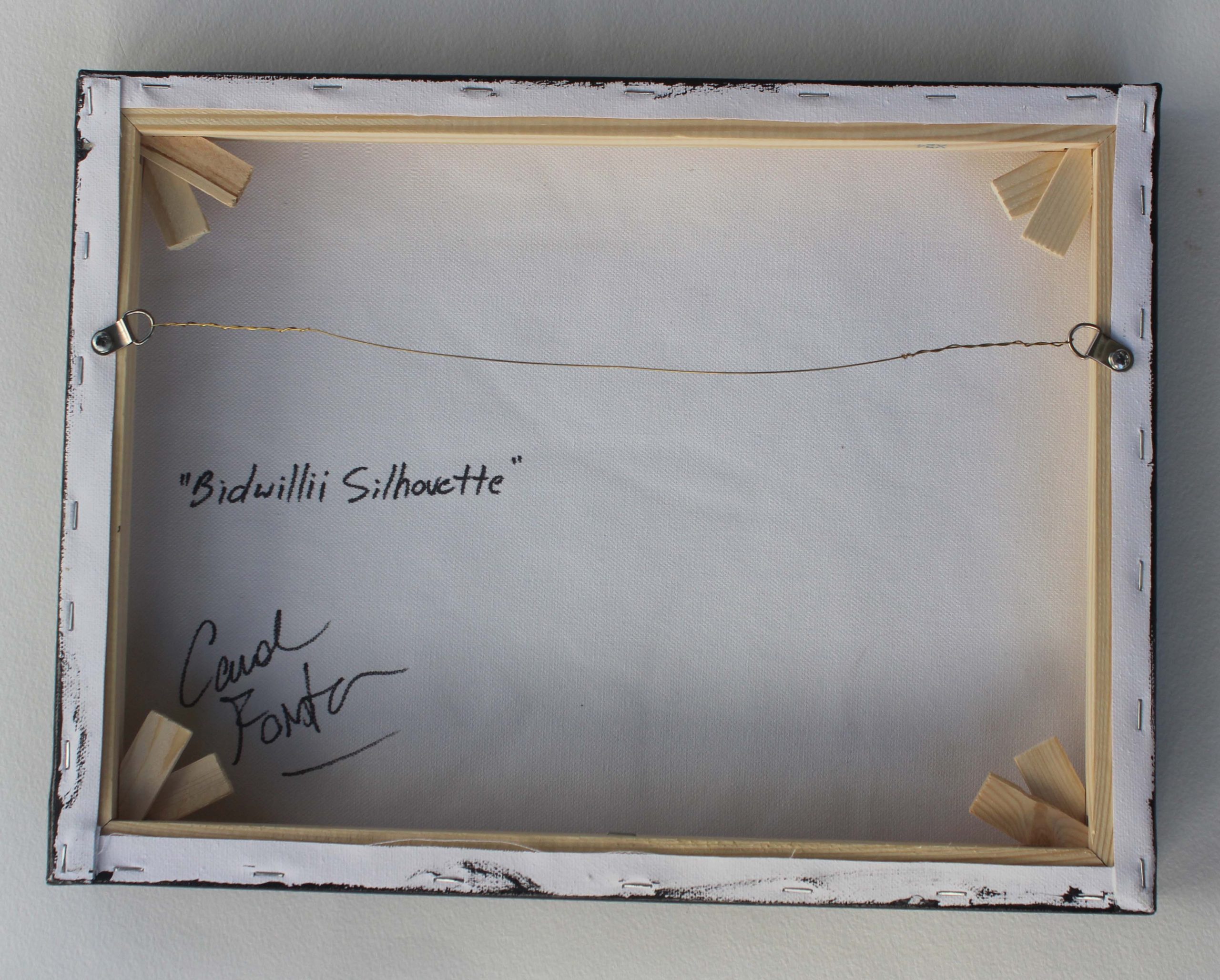 Bidwillii Silhouette 6 Carol Forster Art Lovers Australia