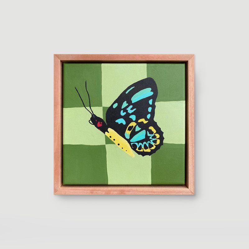 Richmond Birdwing Butterfly with Green Checks