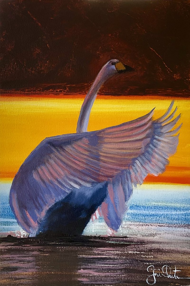 Swan and Sunset Lake