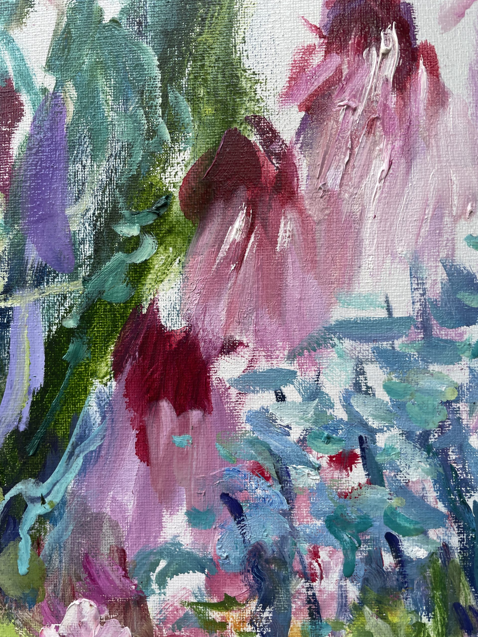 Three Echinacea Flowers Closeup 1