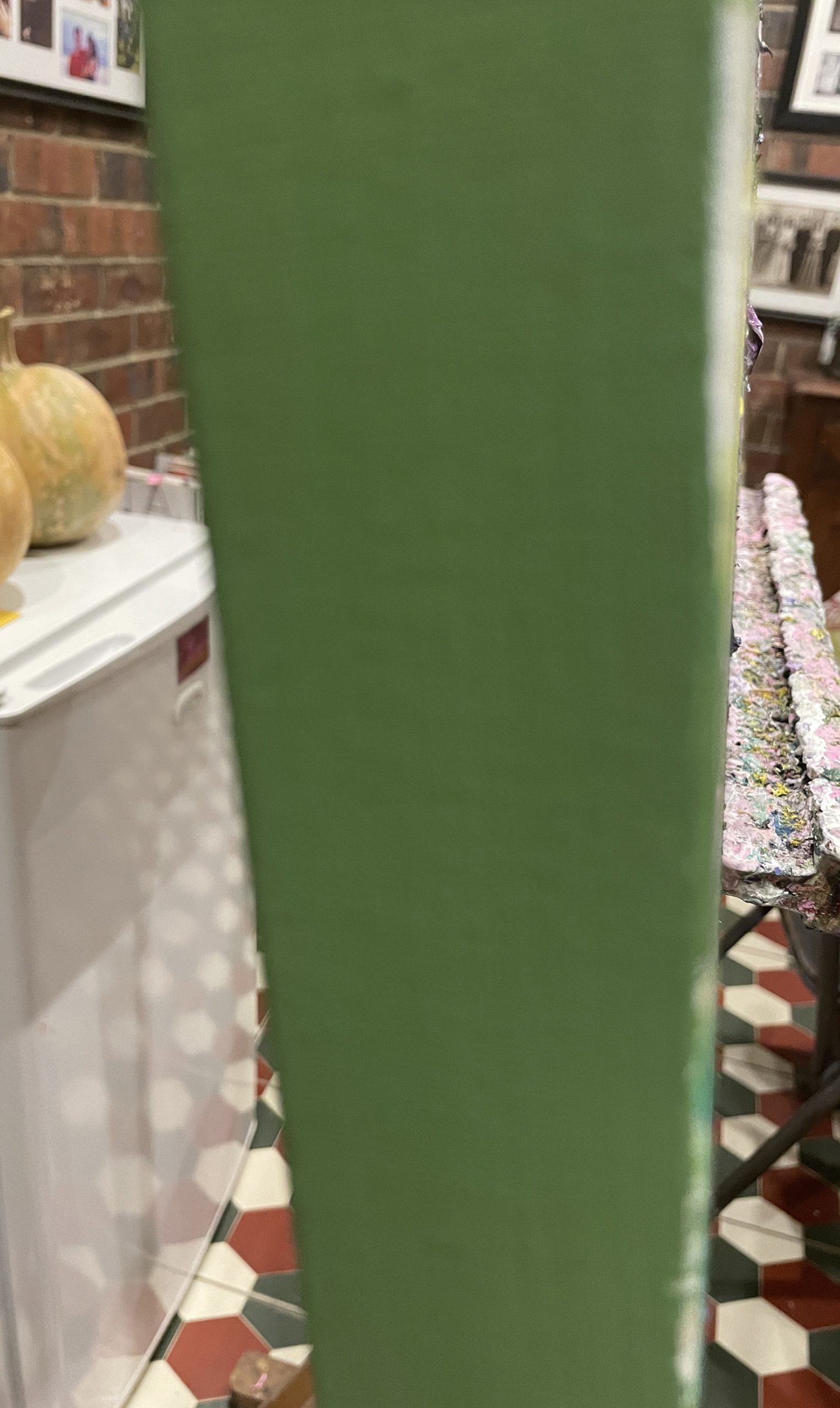 Three Echinacea Flowers Side View