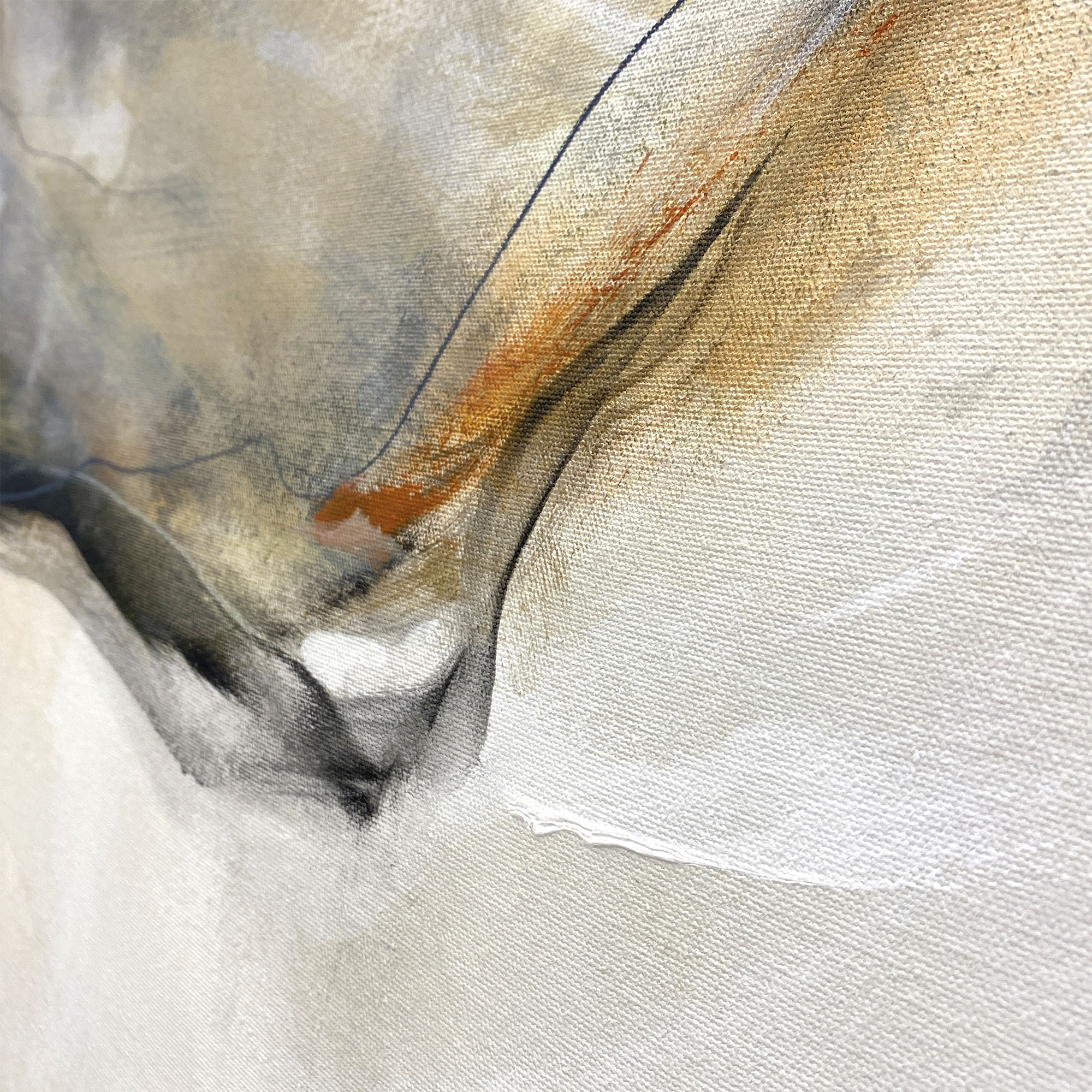 Hidden Passage Cheryl Harrison B