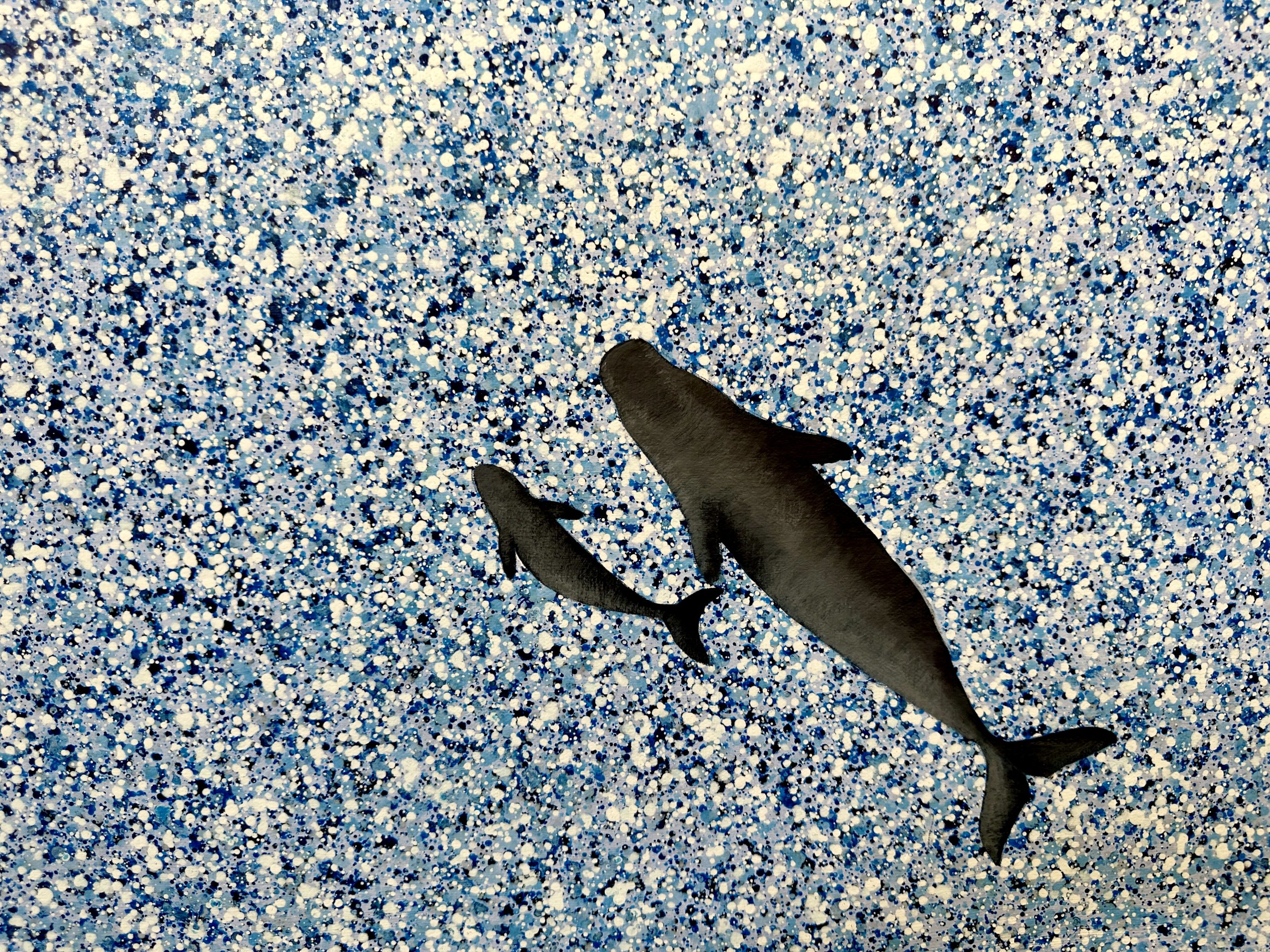 Whale Mumma Close Up