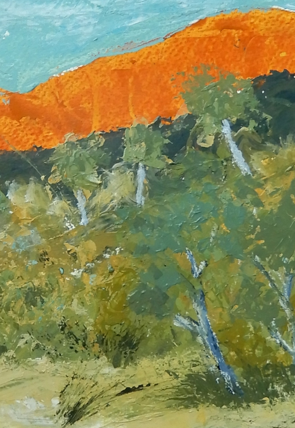 Doodie Herman Out Bush Landscape 003