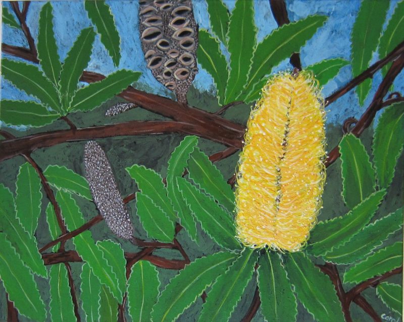 Banksia