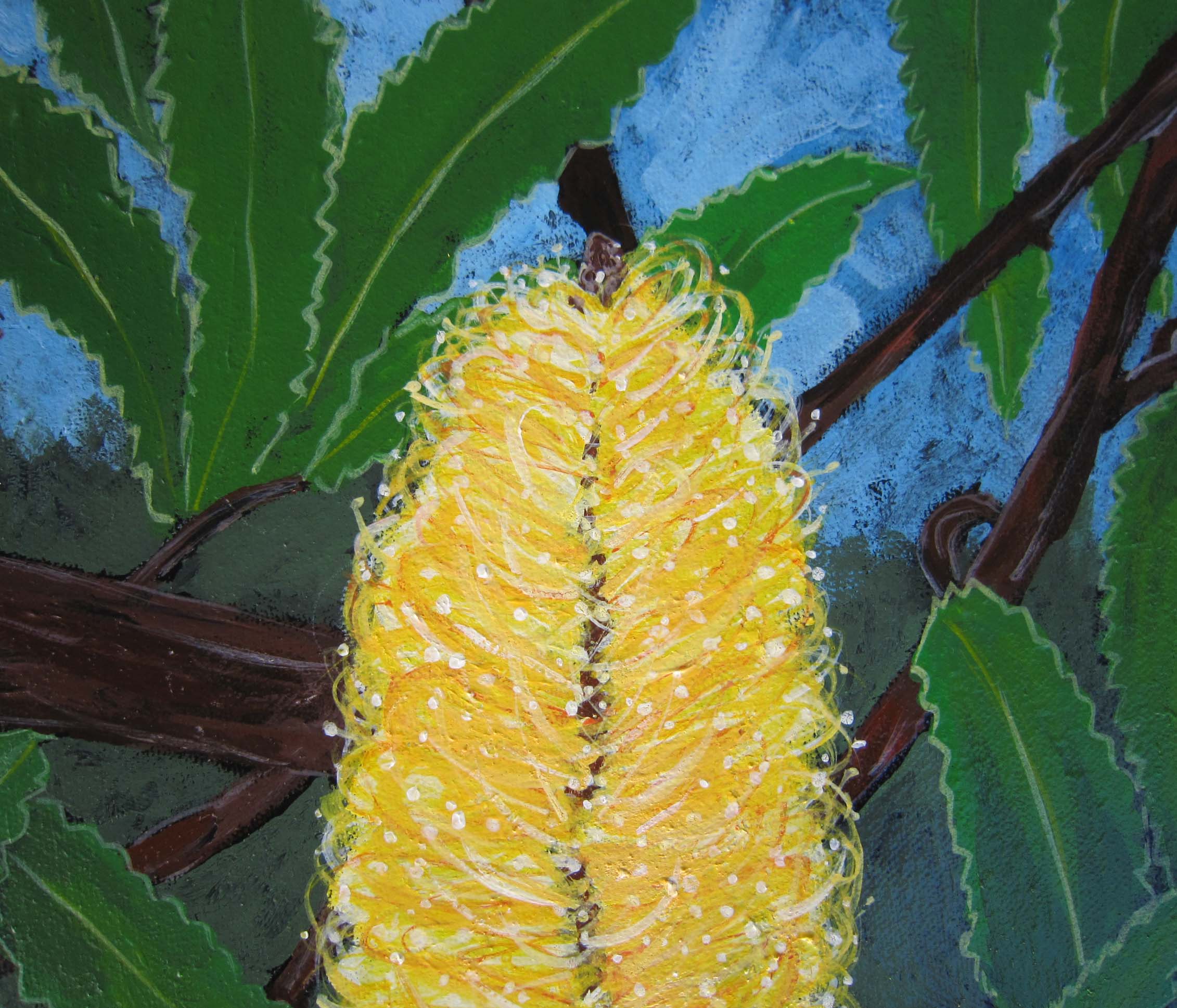 Banksia 5 Carol Forster Art Lovers Australia
