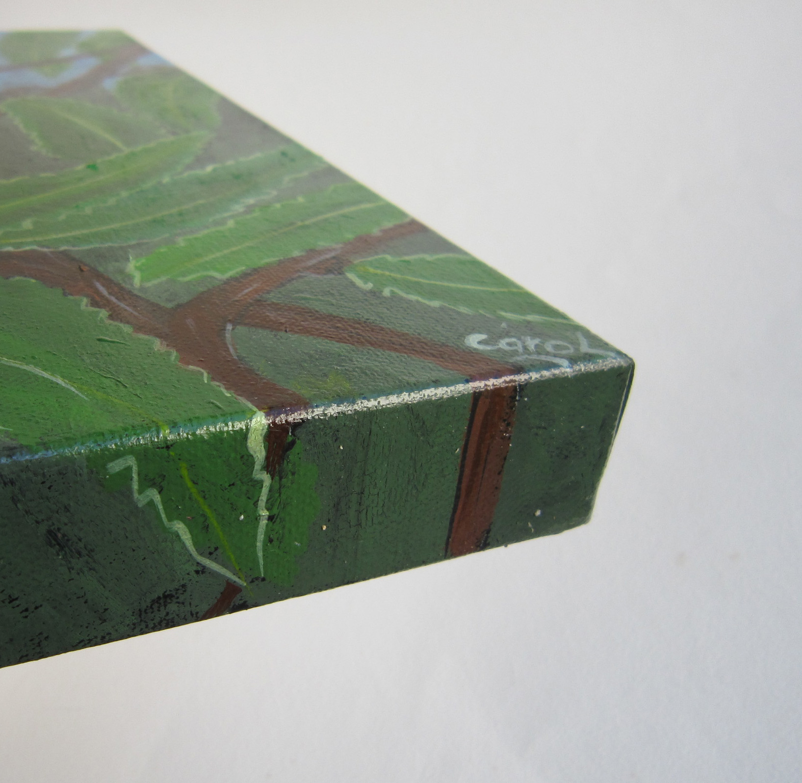 Banksia 6 Carol Forster Art Lovers Australia