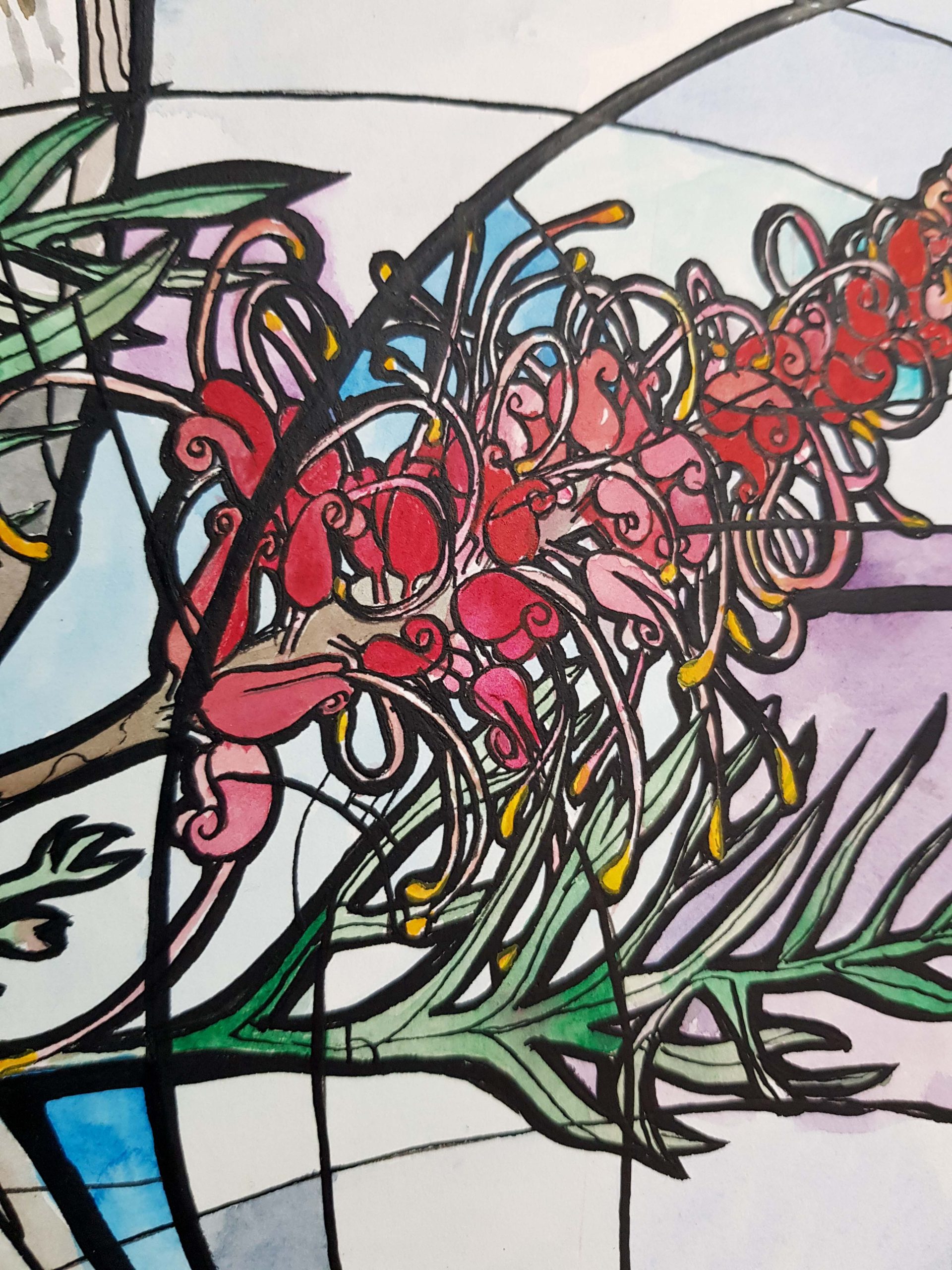 Pink Nectar By Nicola Cowie Ink Grevillea