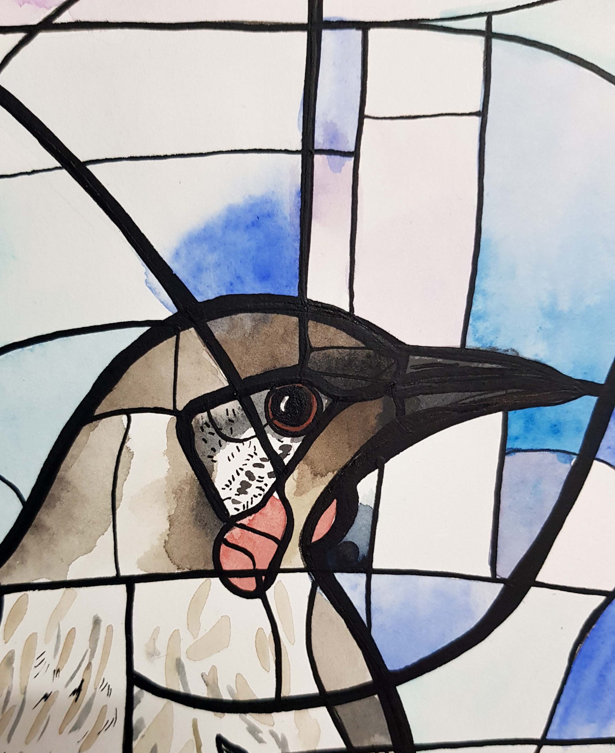 Pink Nectar By Nicola Cowie Red Wattlebird