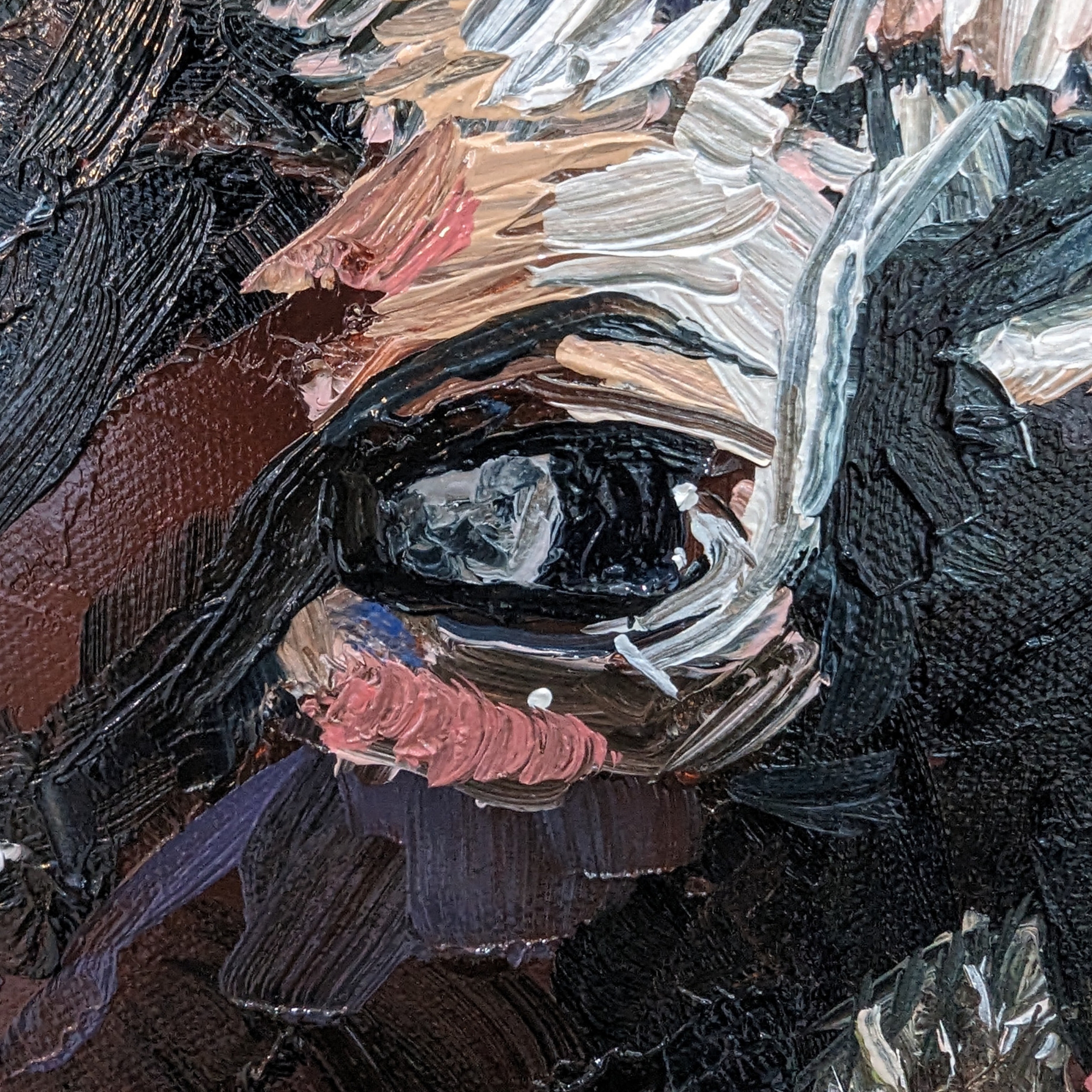 Sam Askin The Moo Dy Cow Eye