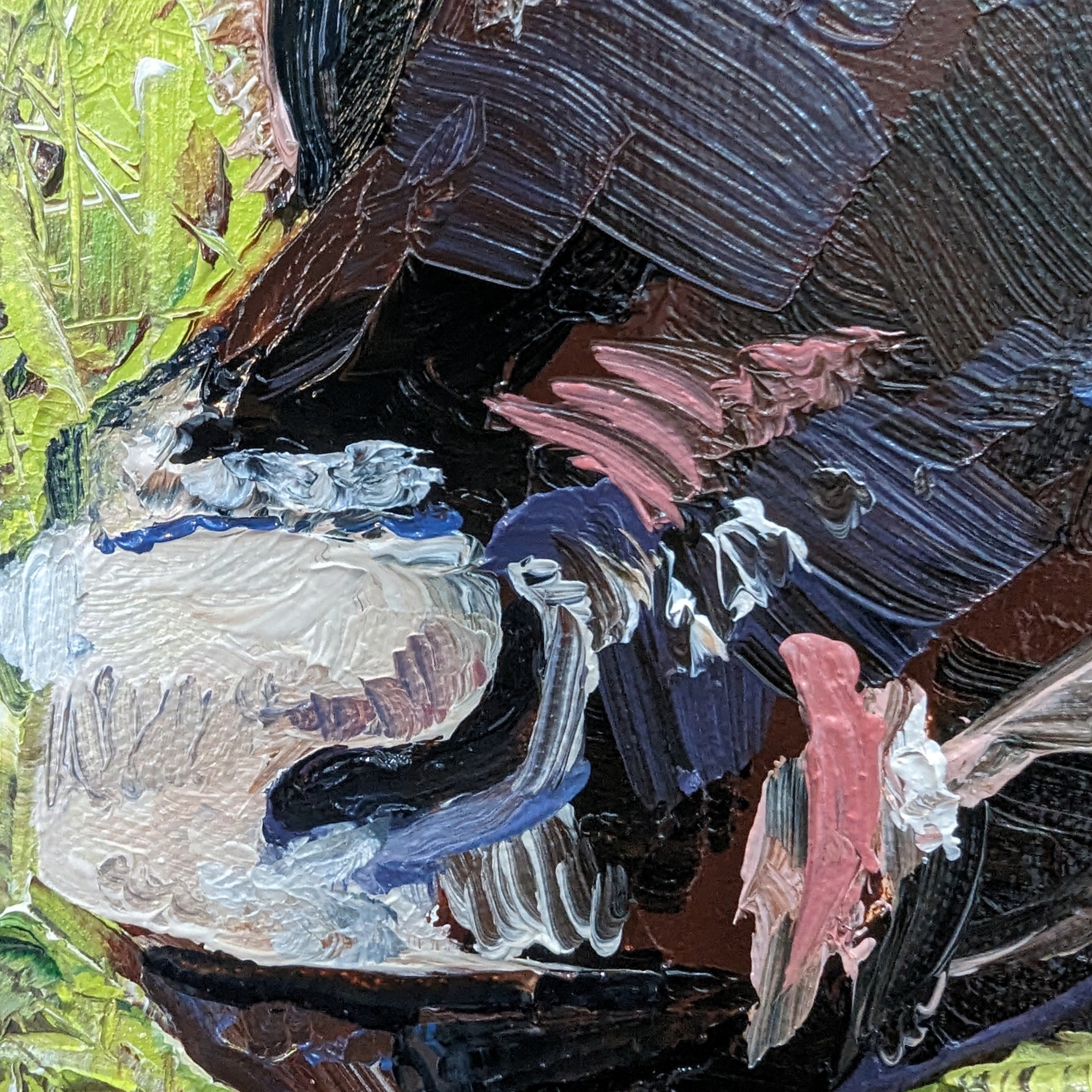 Sam Askin The Moo Dy Cow Nose