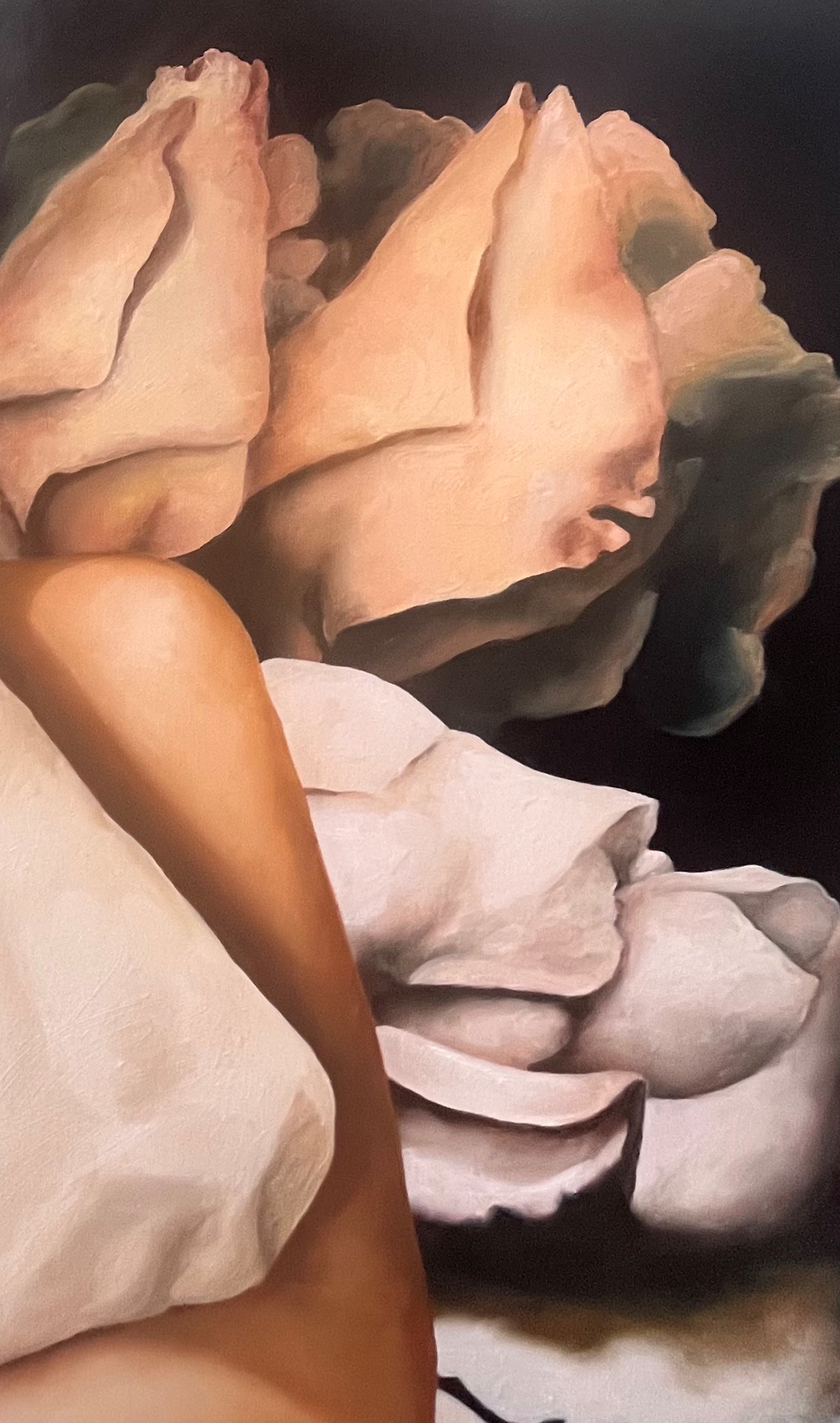 Beauty Unfolding Detail 1 Beauty Unfolding Detail 1