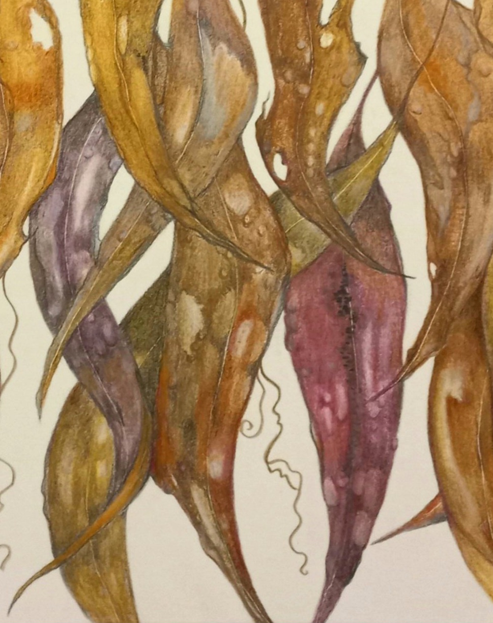 Tapscanner 07 03 2023 13꞉05 20230703 130559 085 72