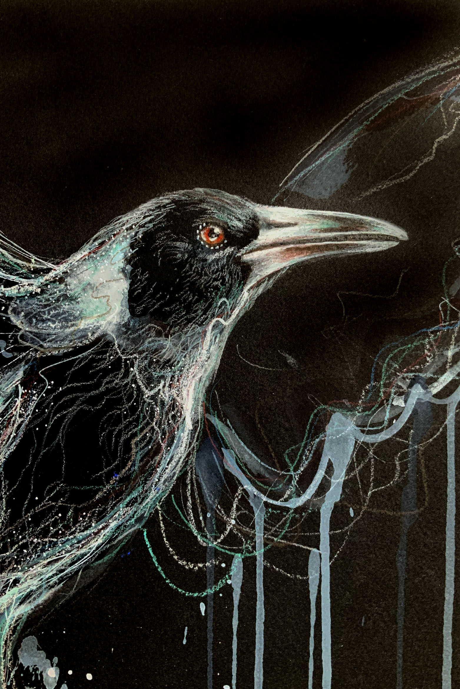 Ydney Artist Leni Kae Magpie Closeup1