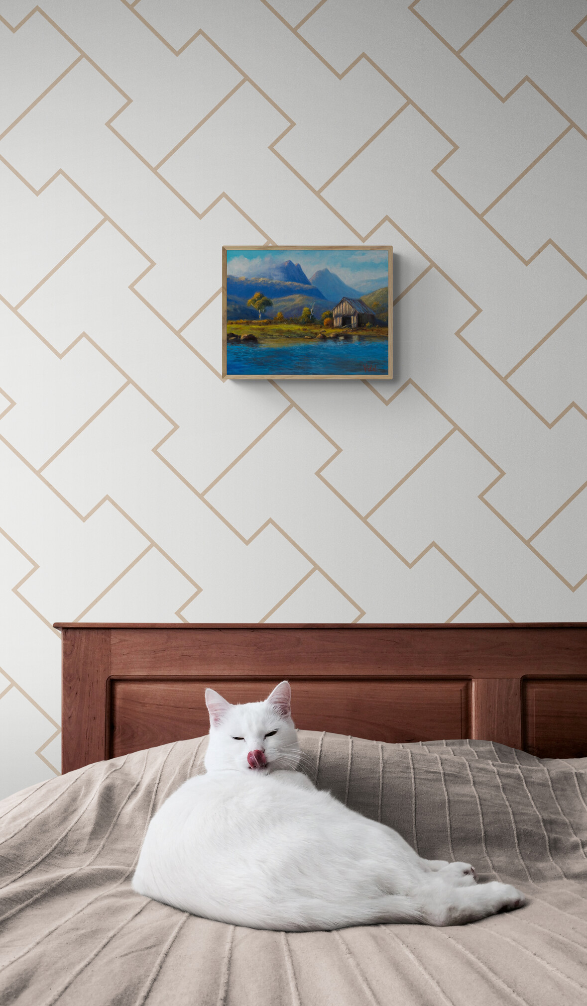 Cute White Cat Lying On Bed