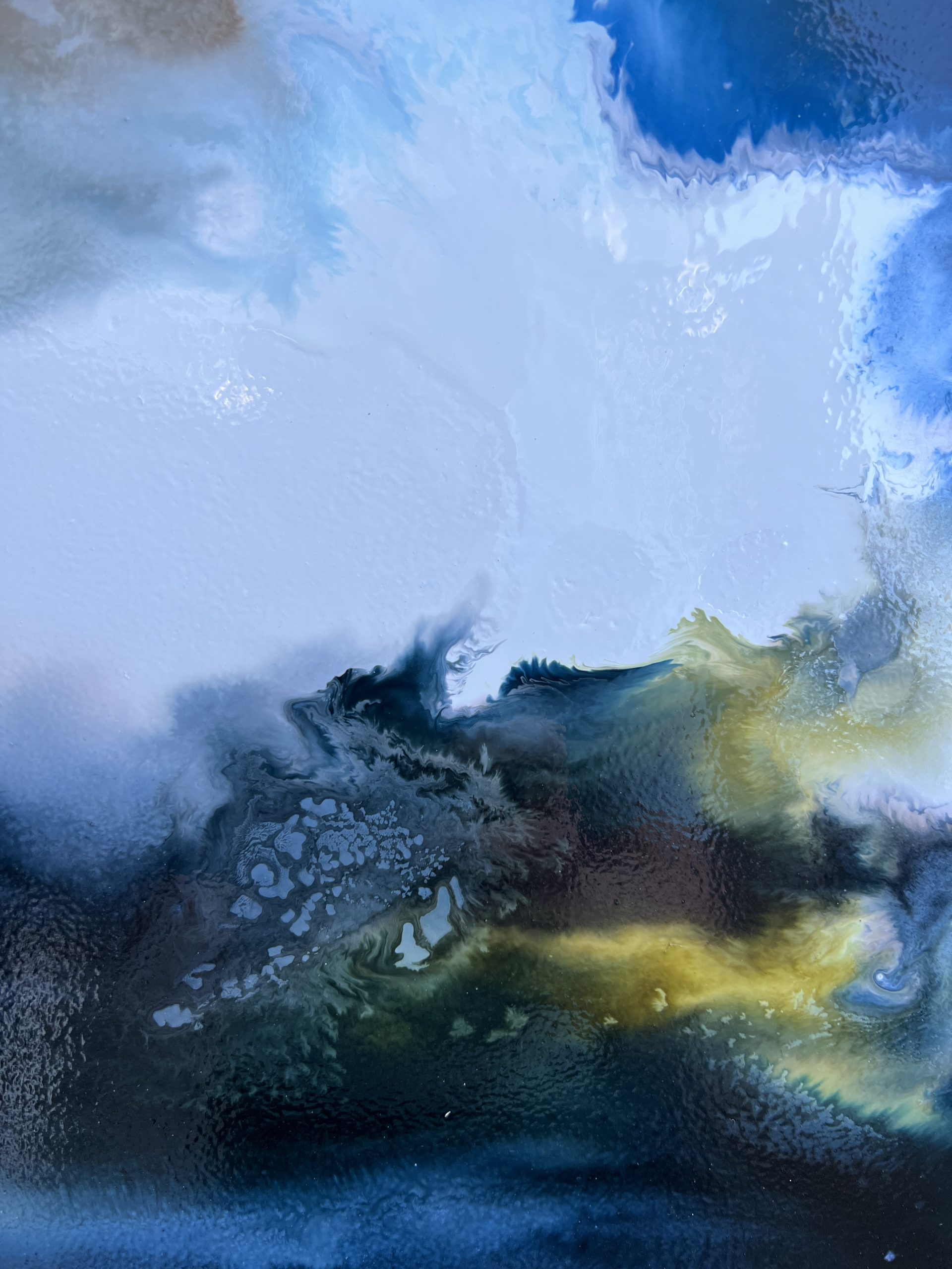 Seabirds On The Shore D