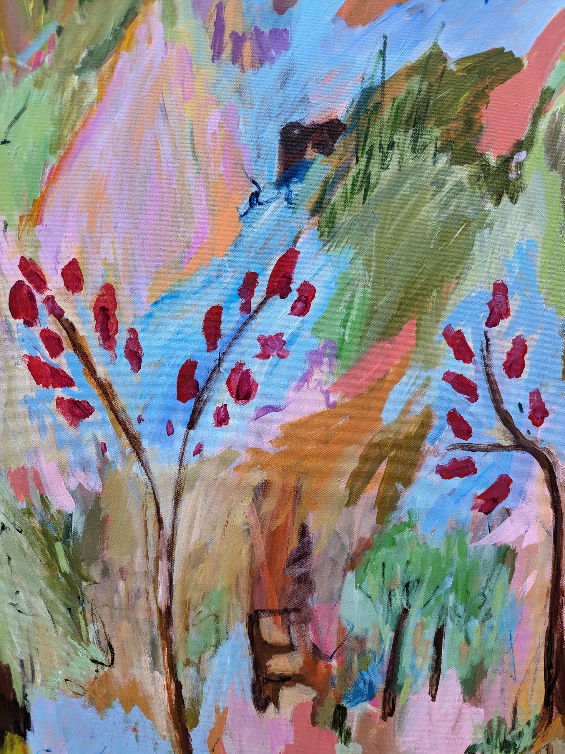 Pxl 20230704 064831384