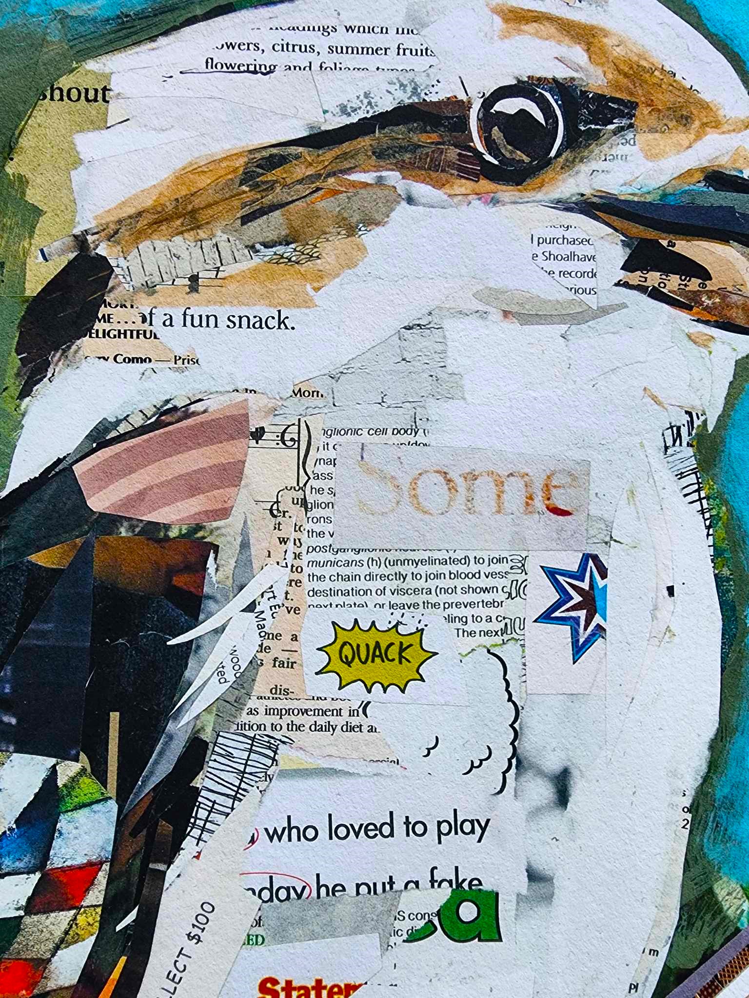 355794896 795210555596844 8670592159413450729 N