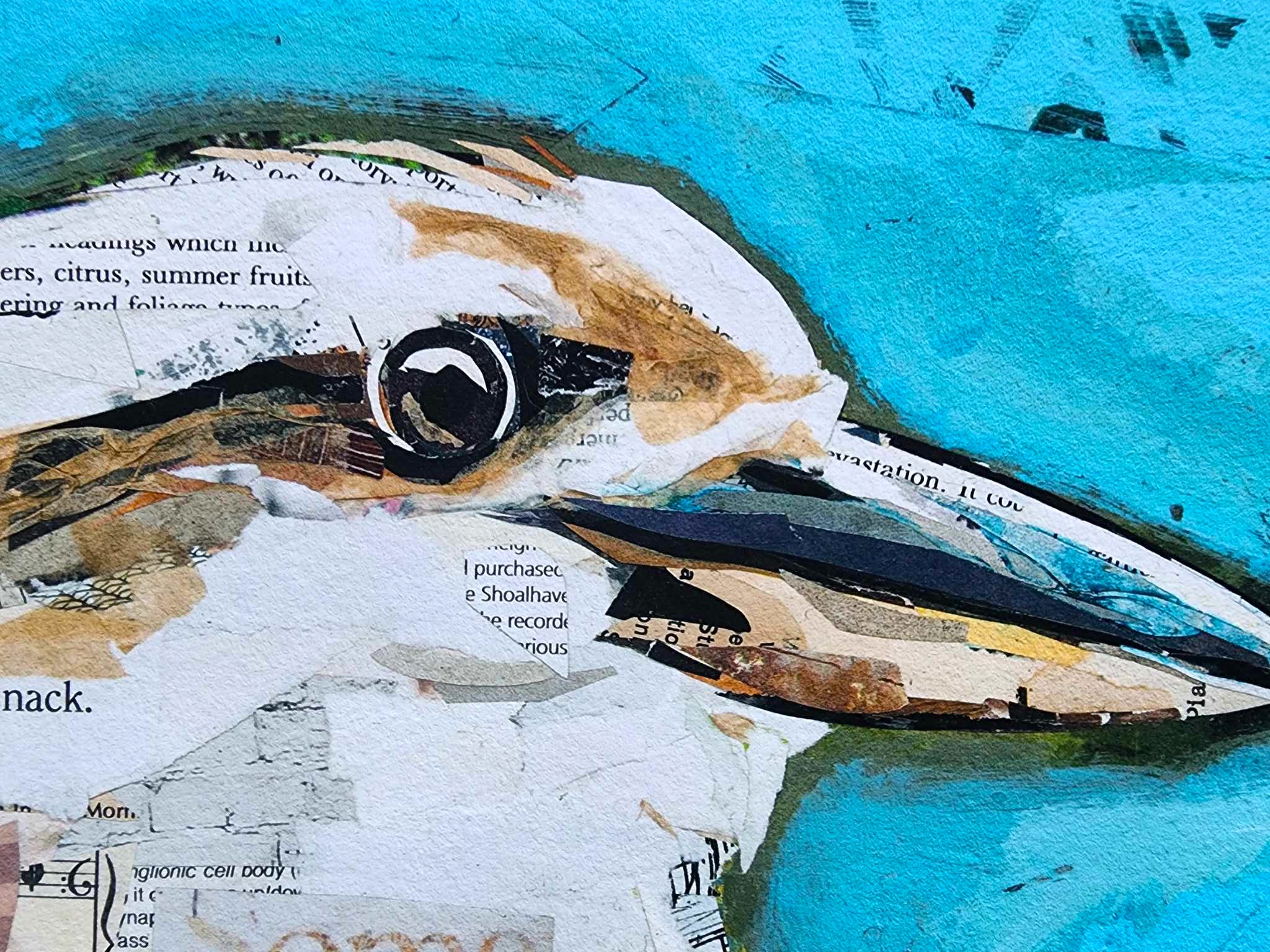 356302090 1758138614616609 821746864219500668 N