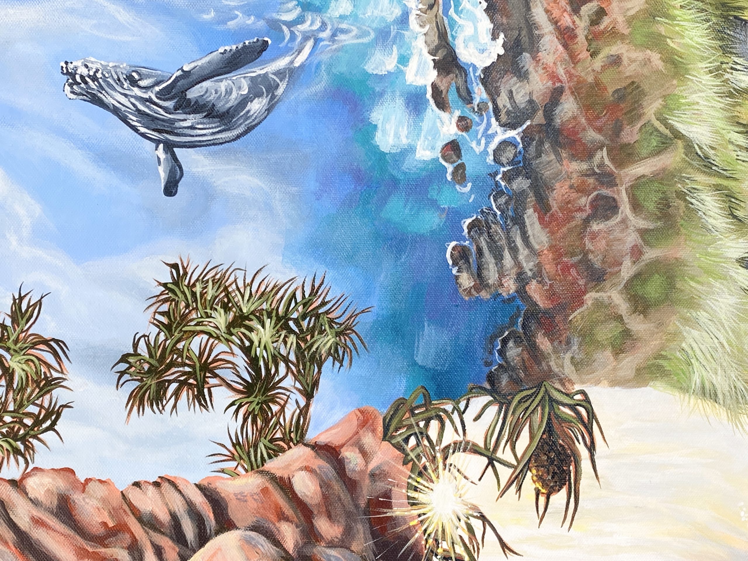 Connection Hastings Point Close Up4