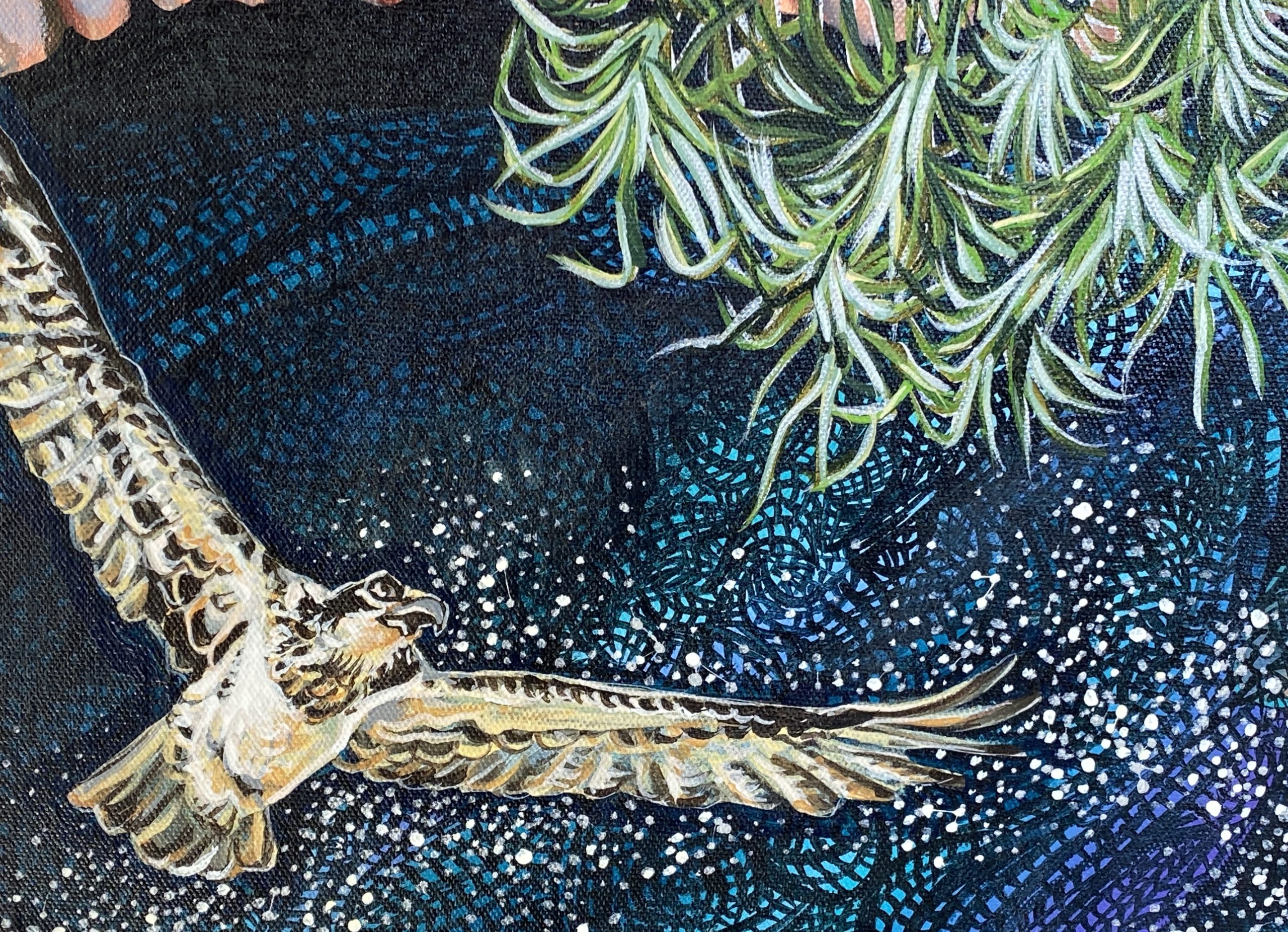 Connection Hastings Point Close Up6