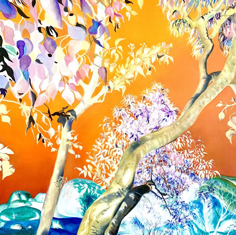 Outback Spirit 800x796
