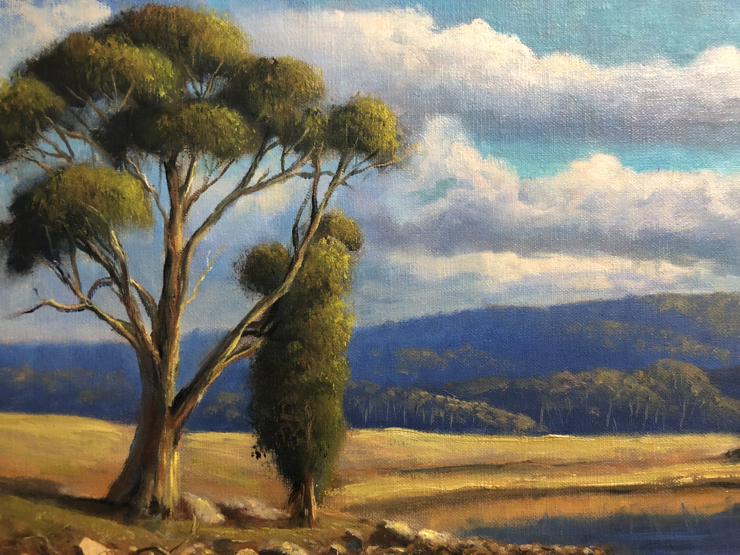 0219a6e7 A867 4bda 9cf5 D98f011774ce