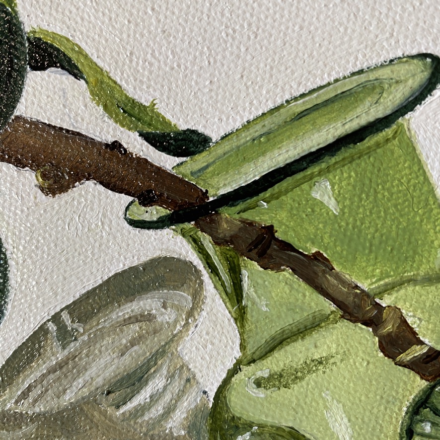 B05bcc96 Df1b 49eb 9321 E57cbf28e1d7 1 105 C