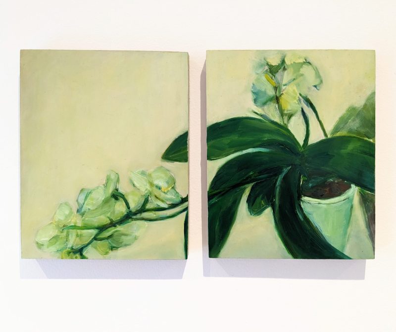 Orchid Diptych