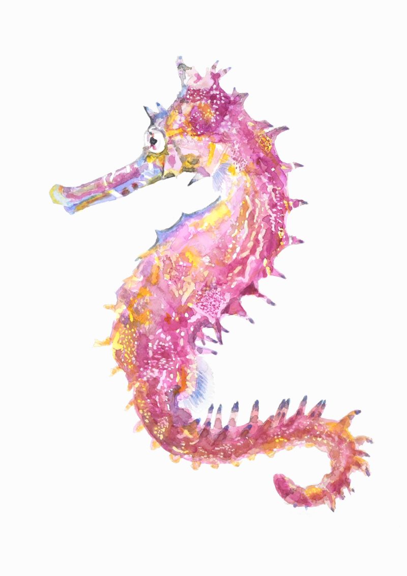 Seahorse – Serenade of the Seahorse: A Watercolor Symphony