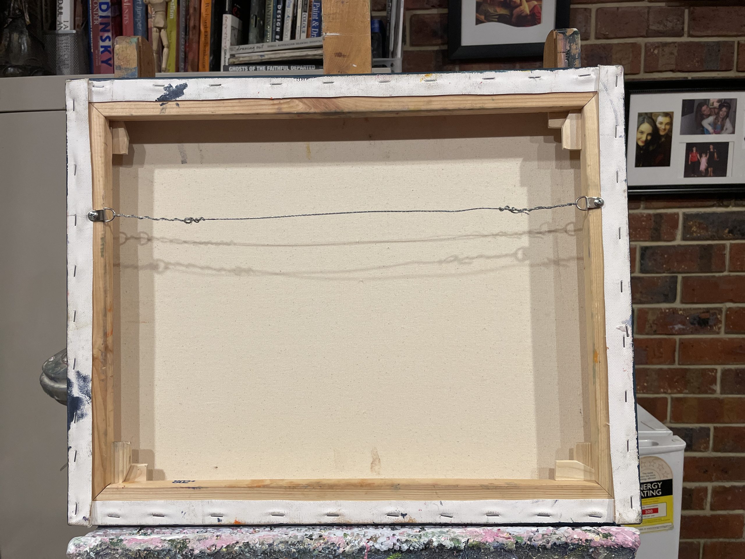 Flying Over The Earth Back Of Canvas