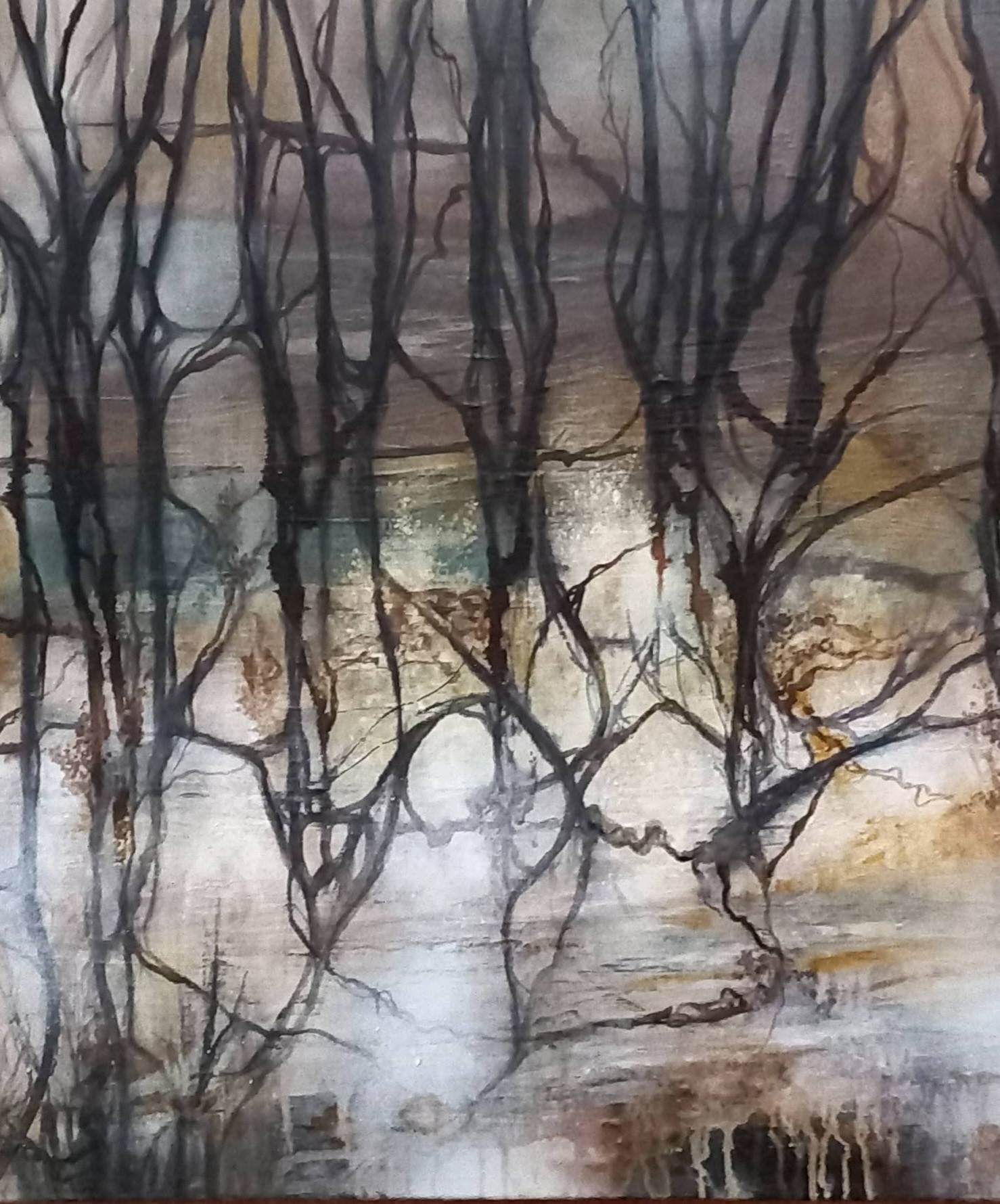 Tapscanner 07 16 2023 19꞉18 20230716 191810 211 18