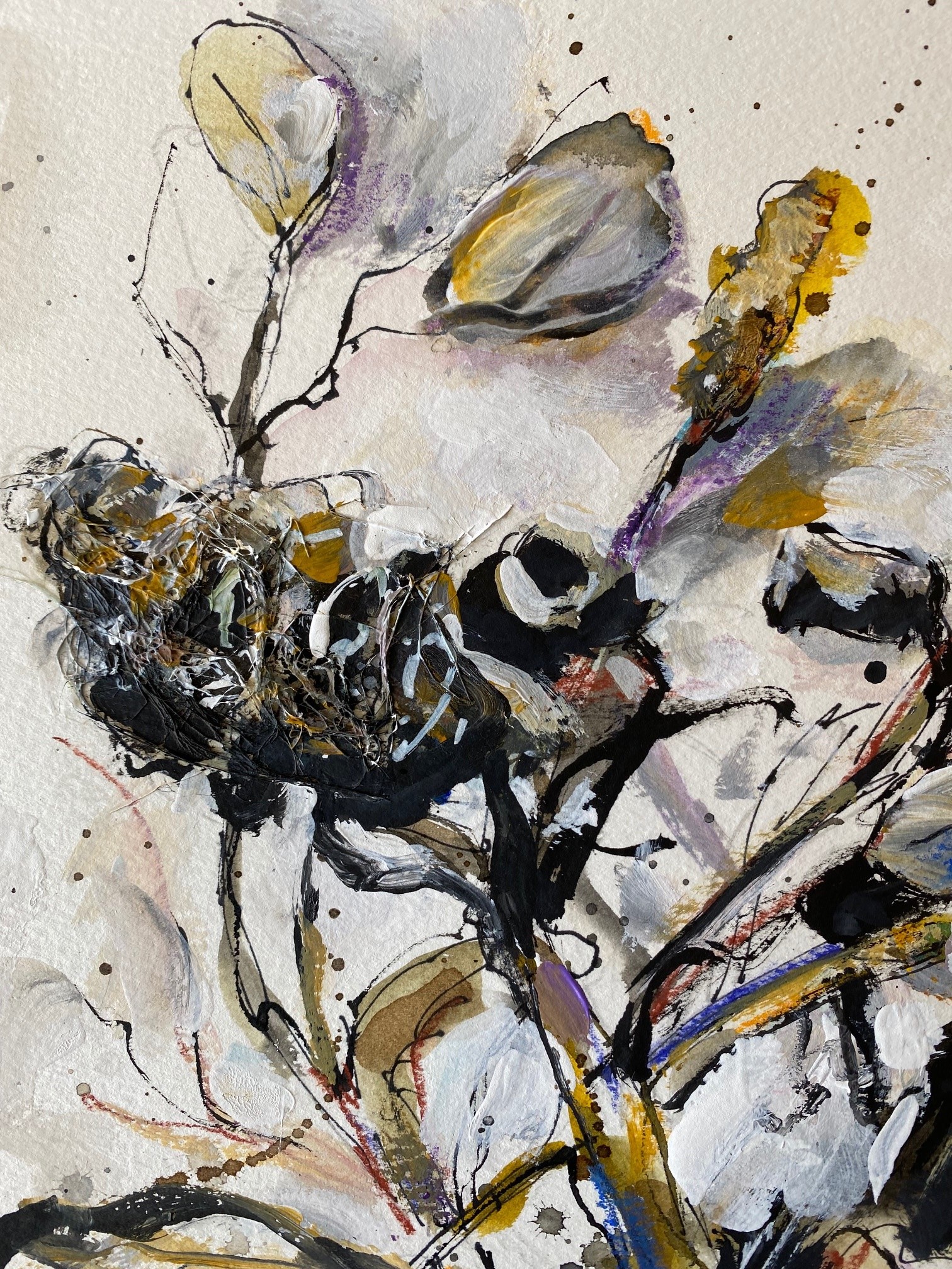 Shapes And Texture In Natu 3